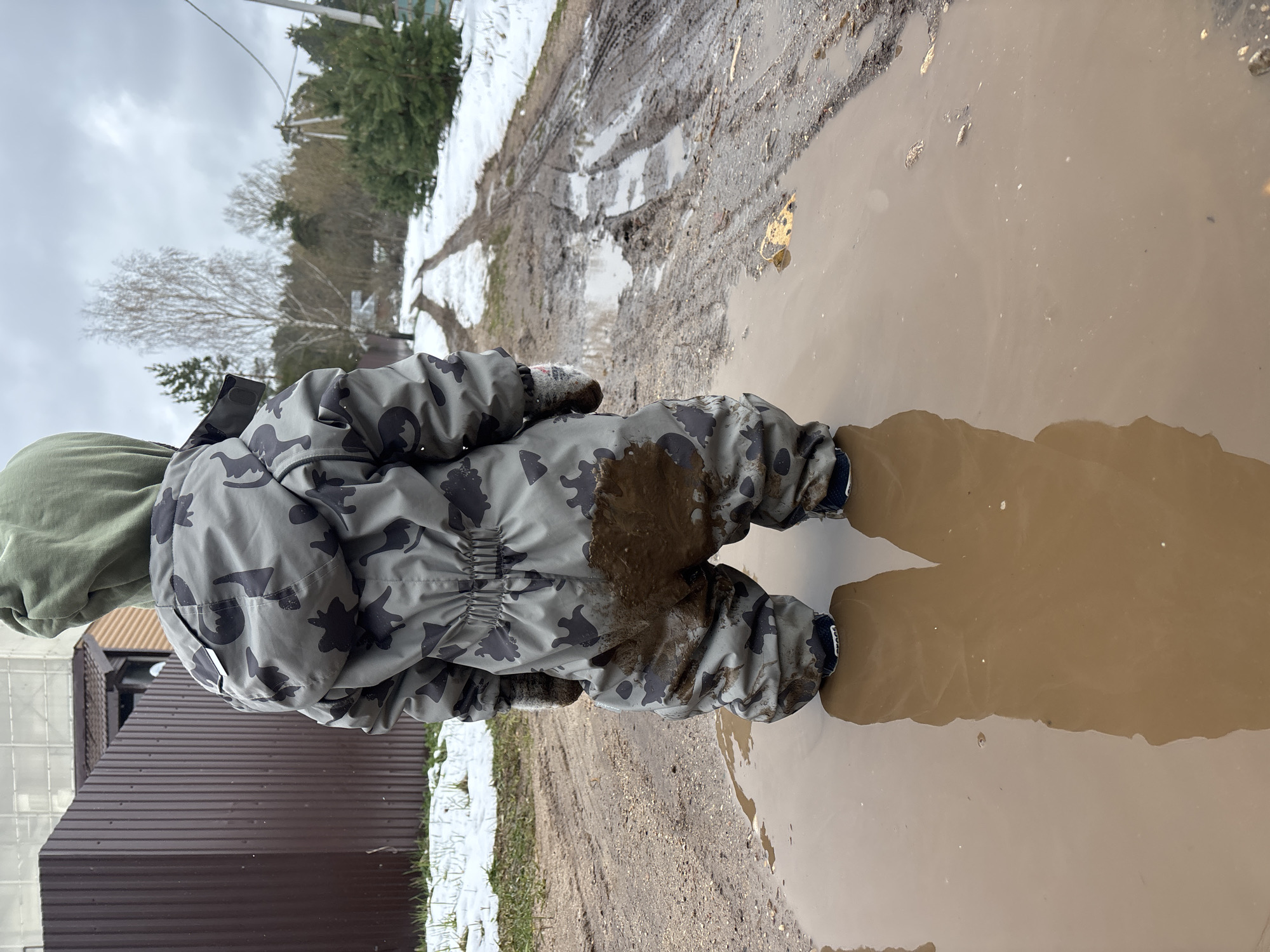 A child, seen from behind, stands in a large, murky brown puddle on an unpaved path. The child is wearing a grey and black camouflage-patterned waterproof suit, which is heavily stained with dark mud on the lower back and buttocks area. A green hood or collar is visible above the suit. The child's lower legs and boots are submerged in the water of the puddle, which reflects the overcast sky and the surrounding muddy ground.
The setting is an outdoor, rural, or semi-rural environment, typical of Razdolie, Russia. The ground around the puddle consists of muddy earth and patches of melting snow, suggesting late winter or early spring conditions. In the background, bare deciduous trees stand alongside dark green coniferous trees, beneath a cloudy, grey sky. A dark, corrugated metal fence or building runs along the left side of the frame.
The image captures a moment of childhood play on a muddy day. A small, yellowish leaf floats on the surface of the puddle to the child's right. On the cuff of the child's right leg, a small white label with indistinct dark text is visible. The photograph was taken during daytime under an overcast sky.
