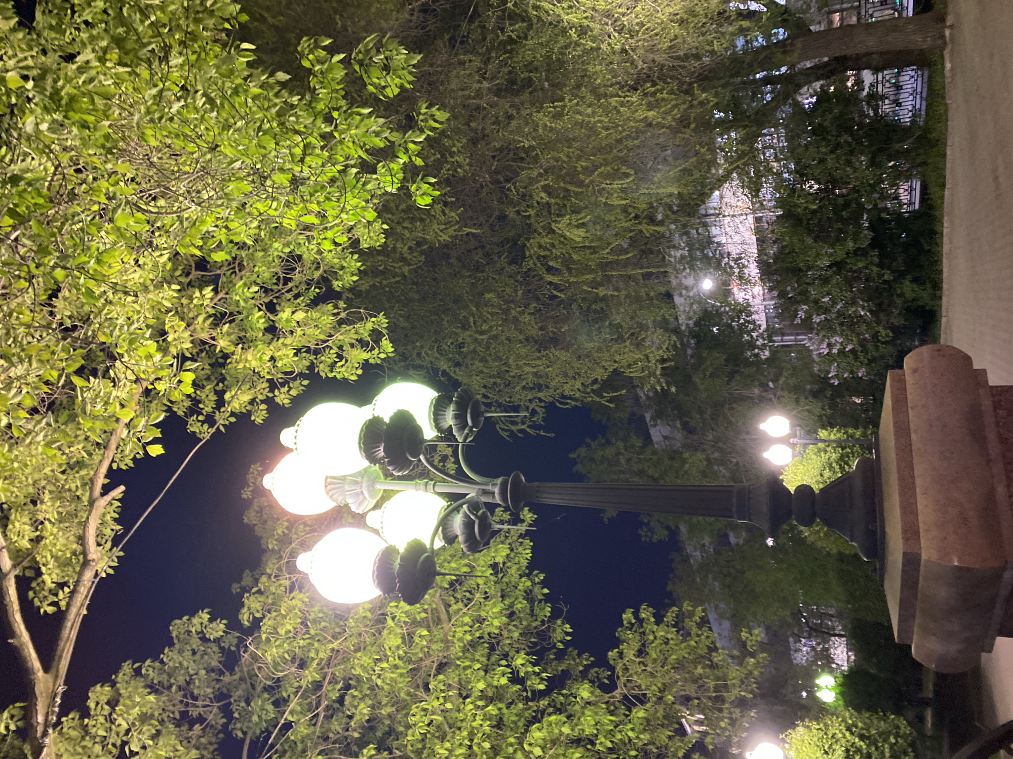The image depicts a nighttime scene in a park, likely in Yekaterinburg, Russia. Lush green trees surround a tall, decorative lamppost featuring multiple spherical lights that illuminate the area. The lamppost stands on a stone base. In the background, building facades can be discerned through the trees, also illuminated by streetlights. The overall environment suggests an urban park at night.