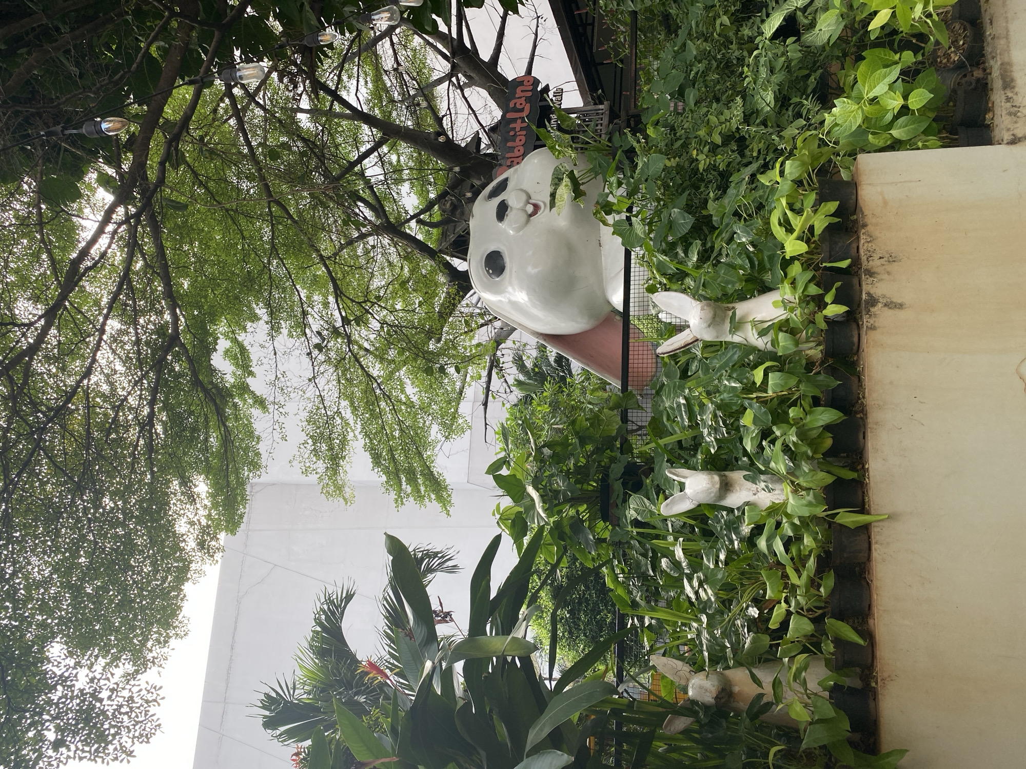 This image captures an outdoor scene featuring decorative elements and lush greenery. The primary subjects are two white rabbit statues, one larger and more prominent than the other, nestled amongst dense foliage. The larger rabbit statue is positioned centrally, with its head and upper body visible, featuring large black eyes and a pink mouth. The smaller rabbit statues appear to be peeking out from the plants.
The setting is an outdoor area, likely a garden or a pathway, with a significant amount of vegetation. Trees with green leaves form a canopy overhead, with string lights visible amongst the branches. A light-colored building or wall is present on the right side of the frame, and a black fence or trellis can be seen behind the greenery.
The lighting suggests it might be daytime, possibly overcast due to the diffused light. There are no people visible in the image.
A notable detail is a sign with text that appears to read "RabbitLand". The overall mood is serene and whimsical, owing to the rabbit decorations and abundant plant life. The location context of North Jakarta, Indonesia, implies a warm and humid climate, which is consistent with the lush, tropical-looking vegetation.