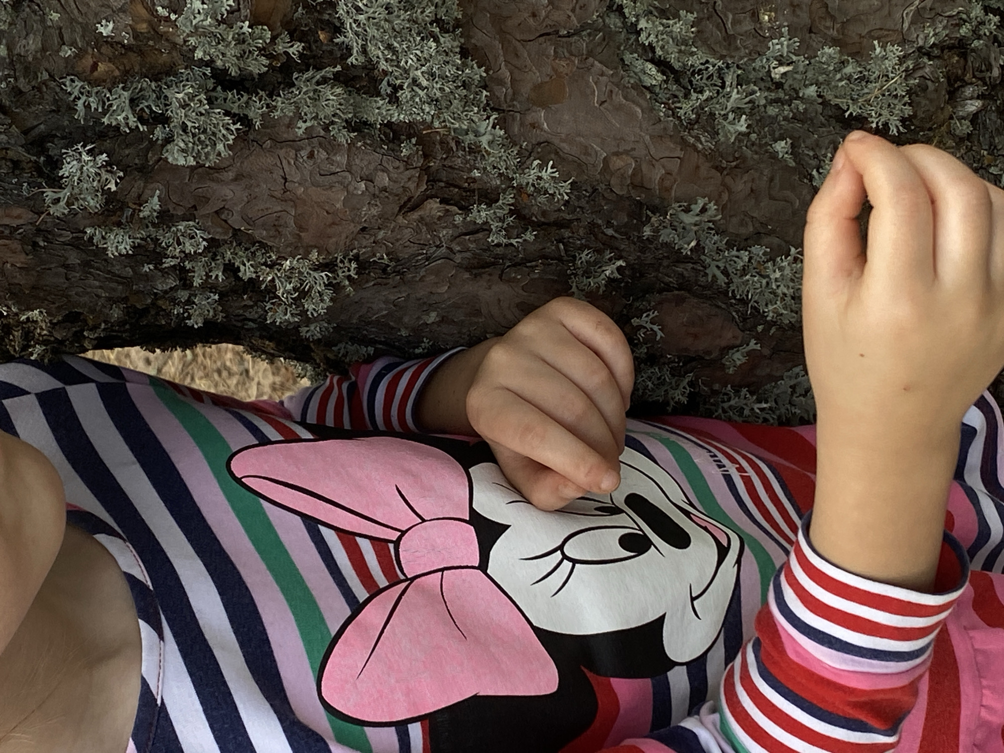 A close-up, waist-up shot shows a young person wearing a long-sleeved shirt with a Minnie Mouse graphic. The shirt features horizontal stripes in pink, navy, green, and red. The person's hands are visible, with the left hand resting on their stomach and the right hand near a tree trunk. The tree trunk, which occupies the right side of the frame, is covered in grey-green lichen. The background is blurred and appears to be a natural outdoor setting, possibly a park or forest. The lighting suggests it is daytime, with natural light illuminating the scene. The location is specified as Baltiiskoe, Russia.