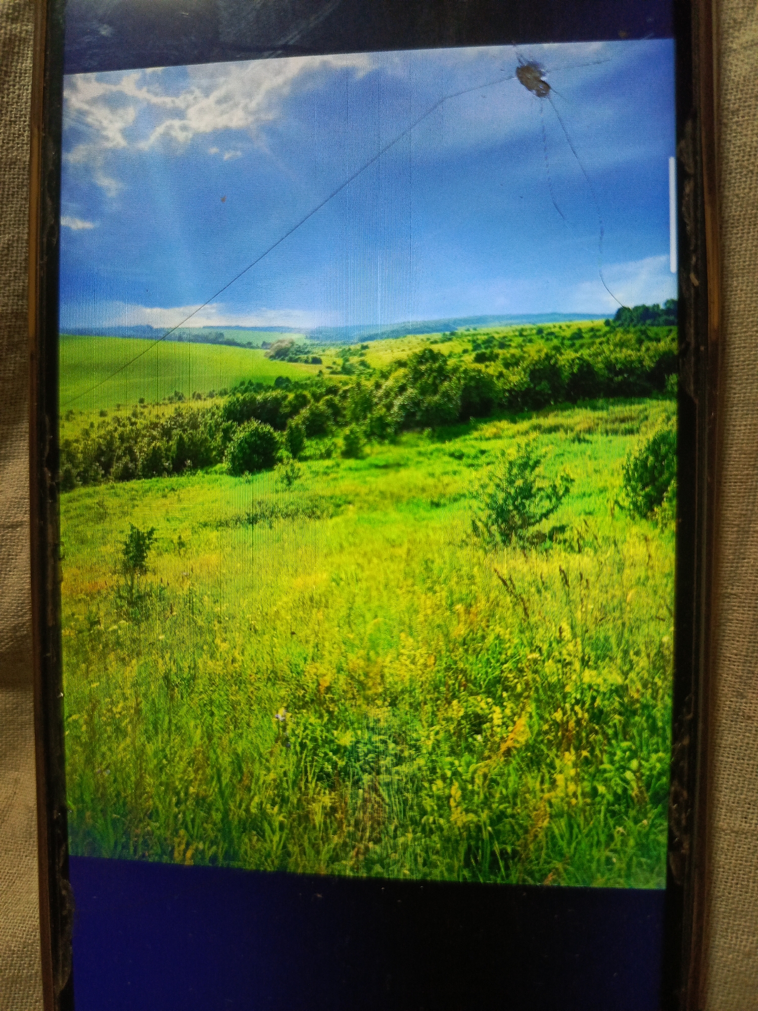 The image displays a landscape scene on a cracked phone screen, depicting rolling green hills under a bright blue sky with scattered clouds. Sunlight streams down, illuminating the verdant terrain which is dotted with trees and shrubs. In the foreground, tall grasses and wildflowers create a textured carpet of green and yellow. The bottom portion of the screen is dark blue, likely representing the phone's interface or a black screen. The overall scene is serene and natural. There is no indication of the city of Svoboda, Russia, or any human activity in the image.