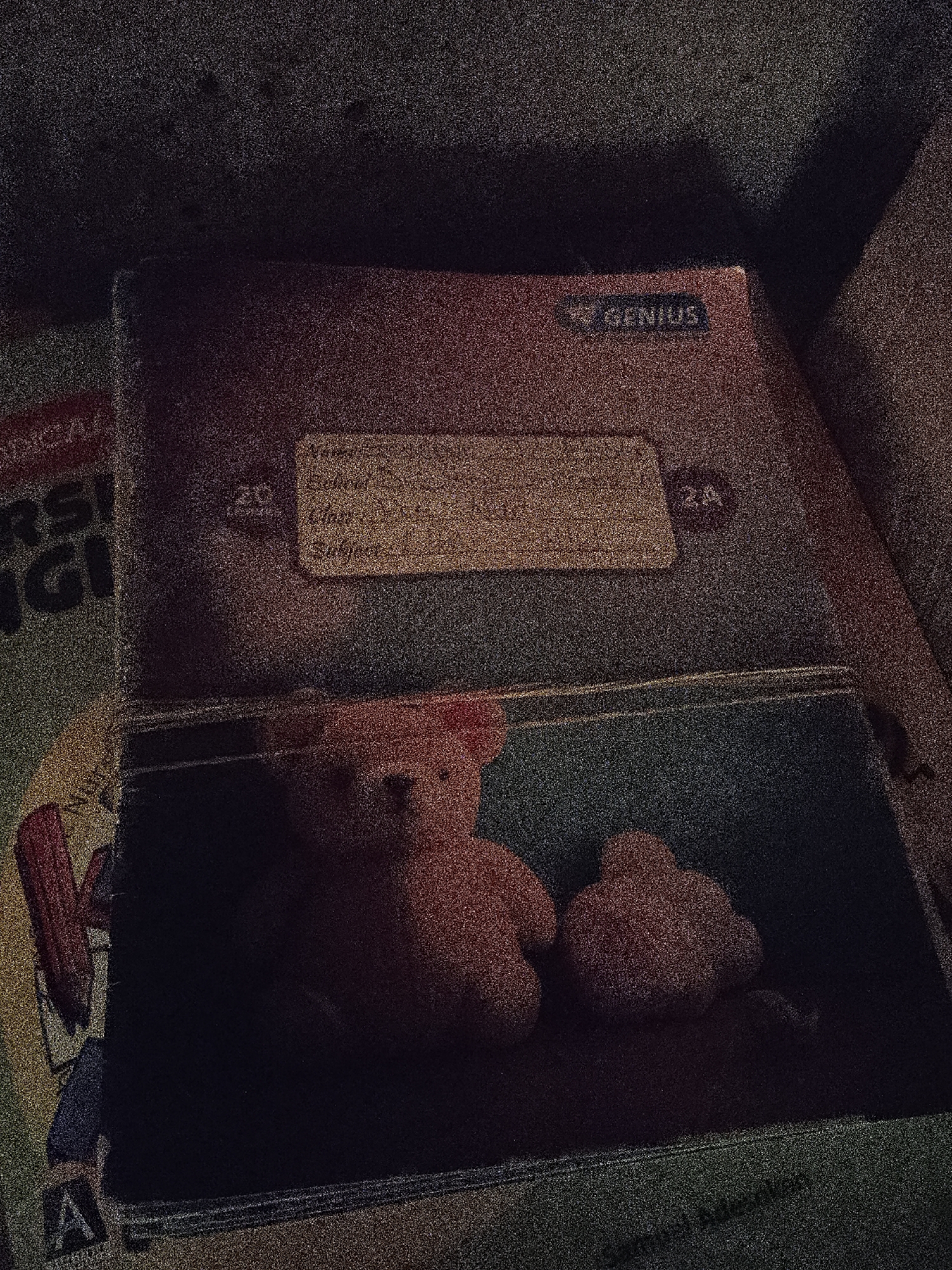 Memory