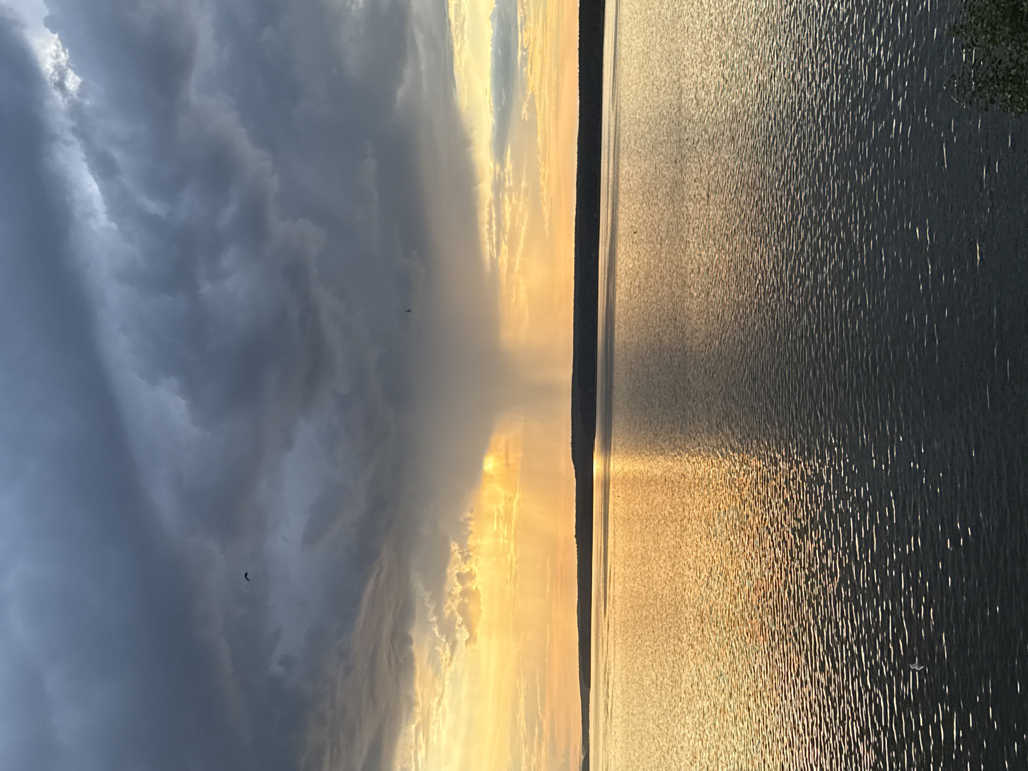 This image depicts a vast body of water, likely a lake, on the outskirts of Votkinsk, Russia. The scene is characterized by a dramatic sky filled with dark, brooding storm clouds that are beginning to break, allowing shafts of golden sunlight to pierce through. A distinct rain shower is visible in the distance, falling from the clouds onto the water. The water's surface is rippled, reflecting the warm hues of the sunset and the darker tones of the sky. A dark, tree-lined horizon separates the water from the sky. There are no visible people in the image, but a few birds are present in the sky, and some very small, dark shapes, possibly more birds or debris, are scattered on the water's surface. The overall impression is one of a powerful and dynamic natural landscape.