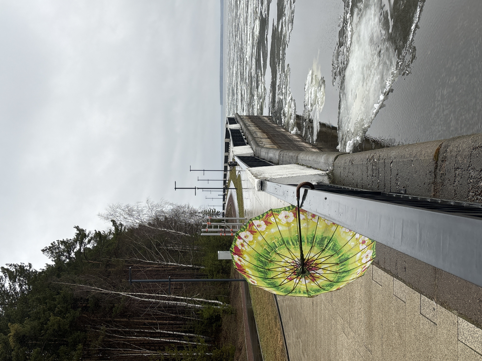 The image shows a view from a concrete walkway in Chaikovsky, Russia, with a view of the Kama River. An open umbrella with a green and floral pattern is resting on a gray metal railing. In the background, there is a forest of mostly bare trees. The river is filled with chunks of ice. A concrete structure with stairs extends into the river. The sky is overcast.