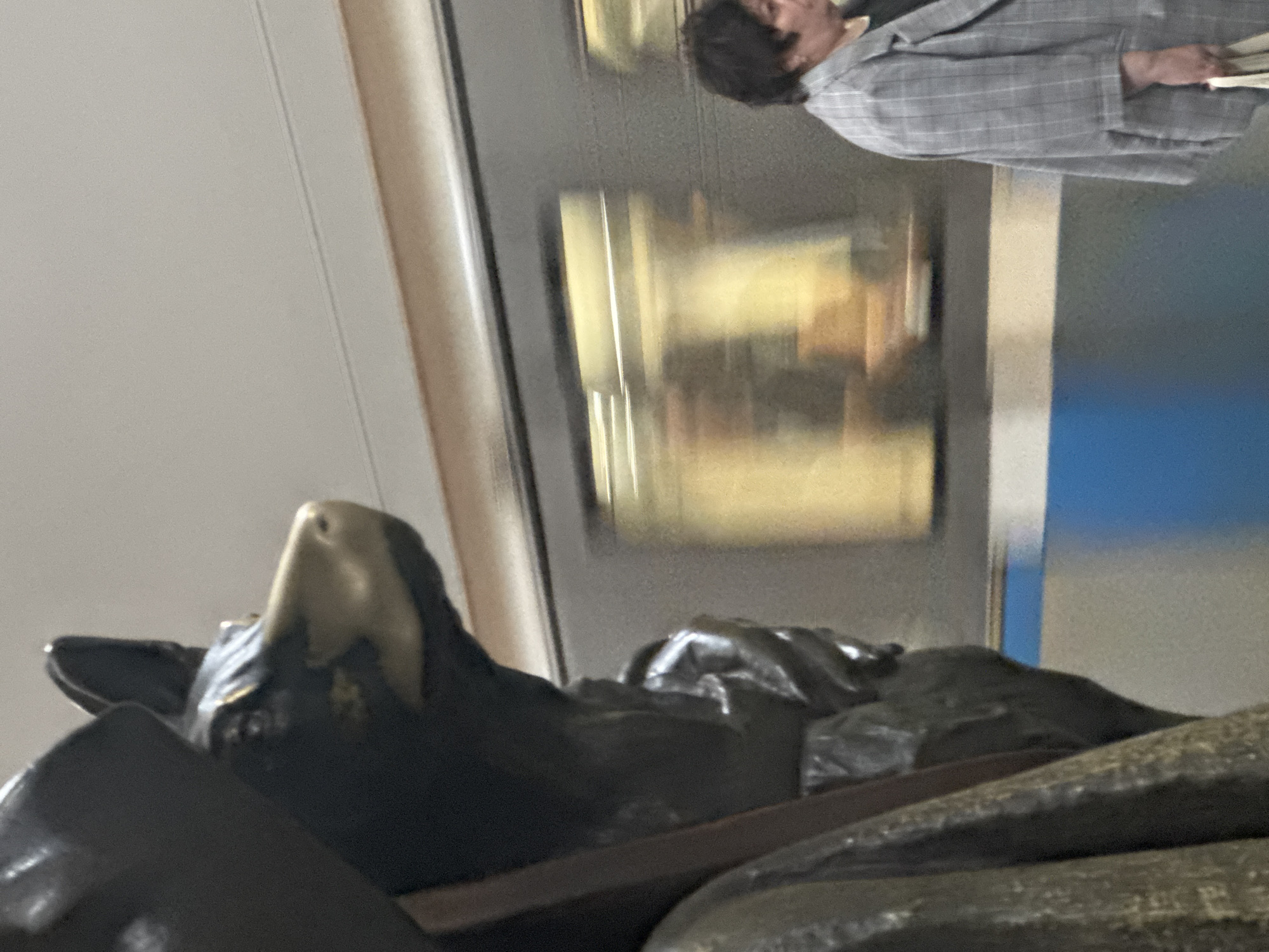 A bronze statue of a dog wearing a hat is visible in the foreground on the left side of the image. The dog statue is dark brown and has a lighter brown nose. To the right of the statue, a train is passing by, indicated by the blurred yellow lights and dark exterior of its carriages. A woman wearing a grey plaid jacket and dark clothing is walking to the right, partially obscured by the train. She is holding a white bag in her right hand. The background appears to be a subway station with a light-colored ceiling and walls. The scene is likely captured in a Moscow Metro station, given the characteristic design of the trains and the presence of statues in some stations.