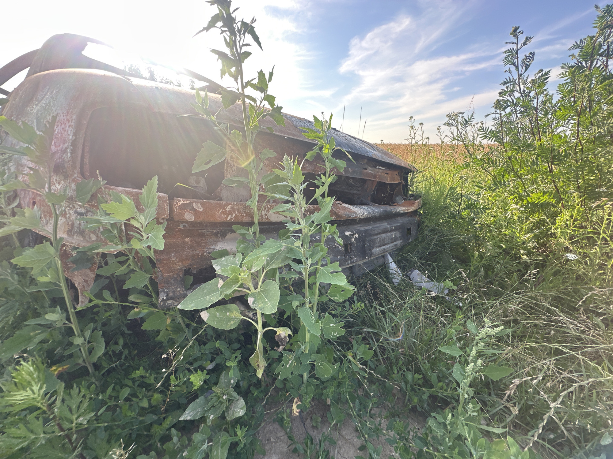 The image shows the charred remains of a vehicle, likely a car, partially overgrown with vegetation. The vehicle appears to be heavily damaged by fire, with visible rust and melted components. Tall green plants and grasses surround the vehicle, suggesting it has been abandoned in a natural setting. In the background, a field of crops is visible under a partly cloudy sky. The overall scene is one of decay and neglect, set against a rural landscape. The location is specified as Makiv, Ukraine.