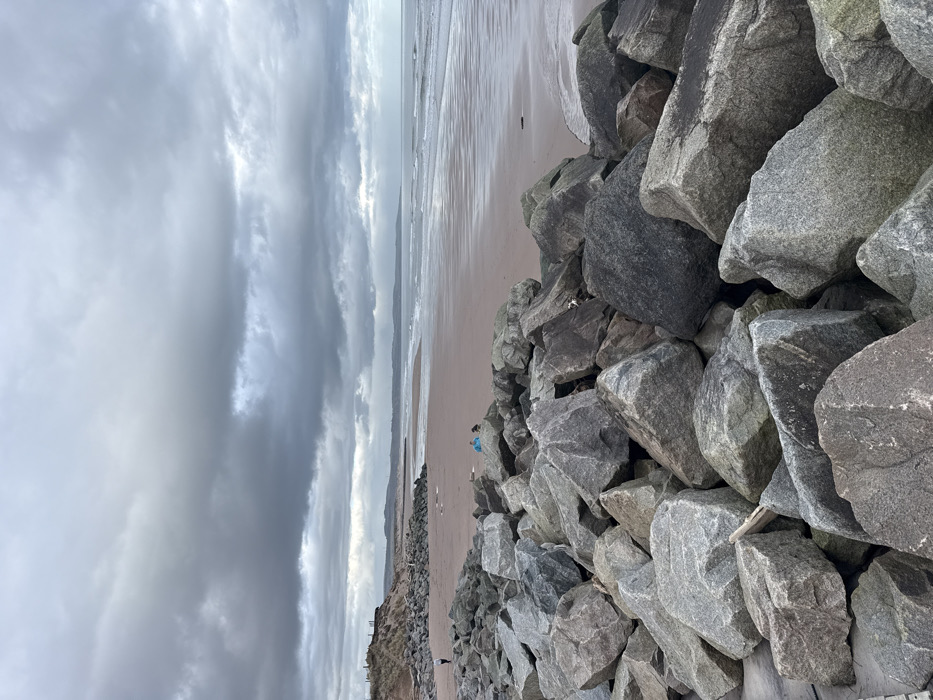 The image displays a coastal scene in Montrose, United Kingdom, under a heavily overcast sky composed of dark grey clouds. The foreground is dominated by a large, irregular barrier of angular grey and dark grey boulders serving as a sea defense. A single piece of light-colored driftwood is visible among these rocks.
To the left, beyond the immediate rock barrier, a section of sandy beach transitions into vegetated sand dunes topped by a faint linear structure, possibly a fence or pathway. An individual wearing a light-colored top and dark trousers is visible walking from right to left on the wet sand at the base of these dunes, positioned further down the coastline.
In the midground, closer to the rock barrier, another individual wearing a bright blue top is observed on the wet sand, seemingly seated or kneeling, with a small, dark-colored animal positioned next to them.
The majority of the midground consists of a broad, flat expanse of wet, light brown sand, indicating a receding tide or low water level. This sand reflects the dull light from the overcast sky.
The right side and background feature the North Sea, characterized by gentle waves breaking on the shore, its surface reflecting the grey sky. The distant horizon reveals a subtly curved coastline with faint landmasses.
