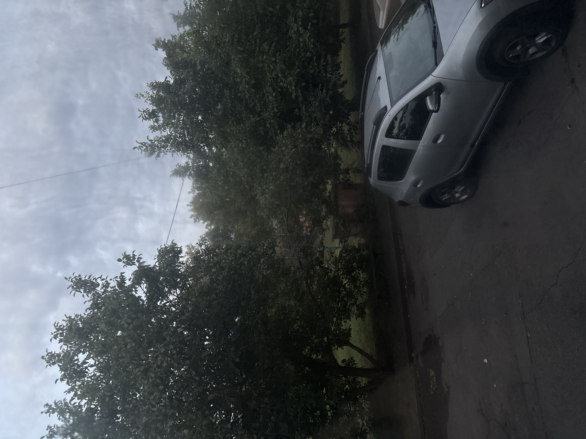 The image depicts an overcast sky above a street with a silver SUV parked on the right side. Tall trees with dense foliage line the background, partially obscuring some buildings. The ground appears to be asphalt, with some patches of wetness and debris. A power line is visible diagonally across the sky. The scene is likely a residential area in Kryvyi Rih, Ukraine.