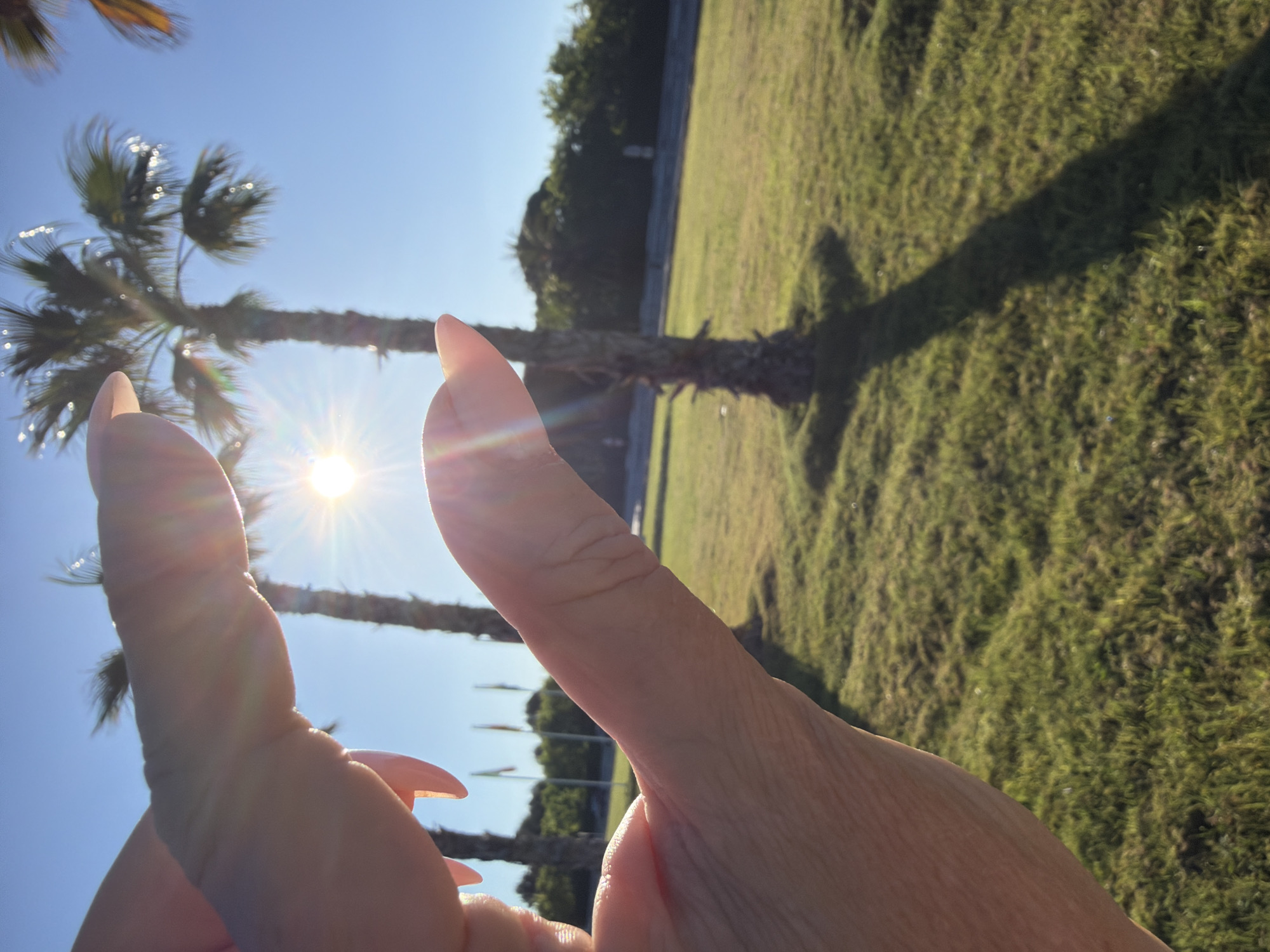The image shows a sunlit outdoor scene in Mont-roig del Camp, Spain. Two palm trees are visible against a clear blue sky, with the sun positioned between them, causing a lens flare. A hand is positioned in the foreground, obscuring the sun and part of the palm trees. The background features a grassy area with trees and bushes.