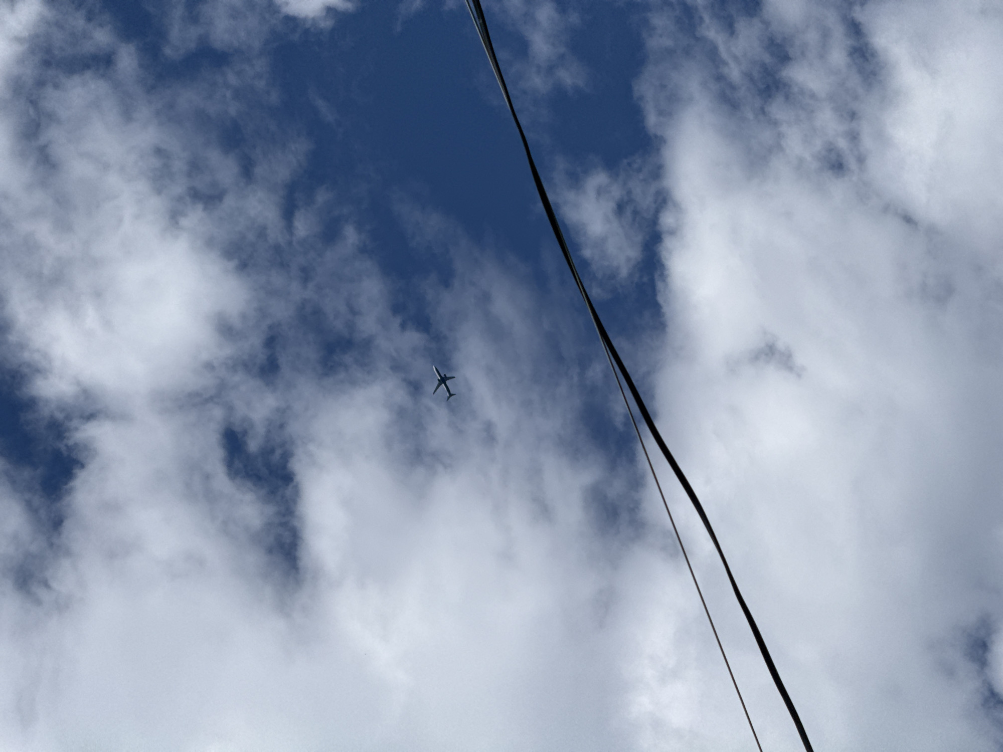 An airplane is visible in the upper portion of the image, flying against a backdrop of a deep blue sky filled with white, fluffy clouds. Two black wires traverse the image diagonally from the lower left to the upper right, obscuring parts of the sky and clouds. The overall scene appears to be outdoors, under daylight conditions. The location is identified as Дзержинец-83 Снт, Russia.
