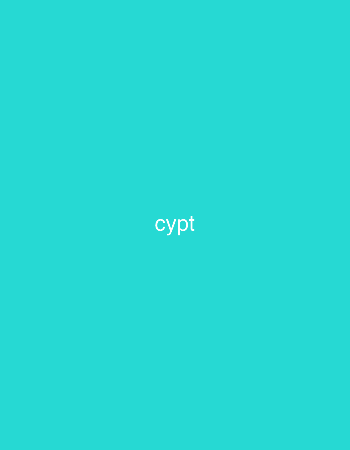 The image, originating from the city of Casablanca, Morocco, displays a minimalist graphic design. The entire frame is filled with a solid, uniform turquoise color. Centrally positioned, the white, lowercase word 'cypt' is rendered in a clean, sans-serif font. There are no additional visual elements such as people, specific objects, actions, or environmental details present in the scene.