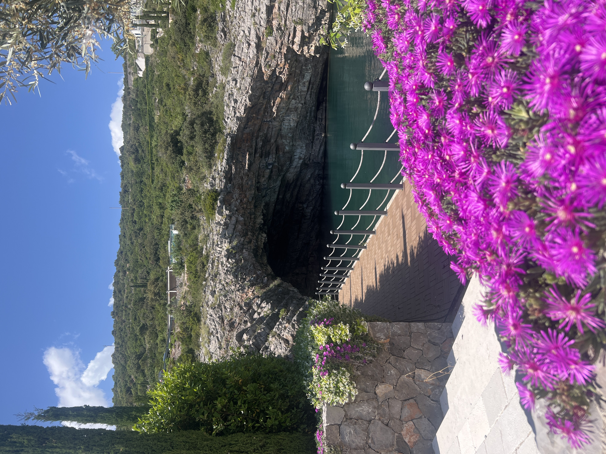 The image shows a natural rock formation with a large cave entrance, likely leading to a water body, in Radovići, Montenegro. A walkway with a metal railing extends along the edge of the cliff towards the cave entrance. The foreground features vibrant purple flowers, possibly ground cover or climbing plants, overflowing from a stone wall. Lush green vegetation covers the hillside leading up to the rock formation. The sky is blue with scattered white clouds. The scene is shot outdoors during daylight hours.