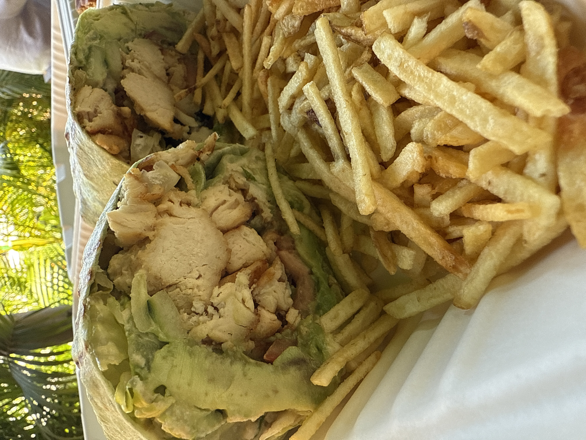 The image shows a close-up of a food item, specifically two halves of a chicken wrap accompanied by french fries, appearing to be inside a white container, perhaps a paper takeout box. The wraps are filled with pieces of cooked chicken and a green sauce or possibly a green vegetable like avocado. The french fries are a golden-yellow color and are piled densely alongside the wraps. The image was taken during daylight hours, judging by the brightness. Outside of the food container, some greenery (likely foliage) can be seen, suggesting the photo might have been taken outdoors. The location is Davie, United States of America.