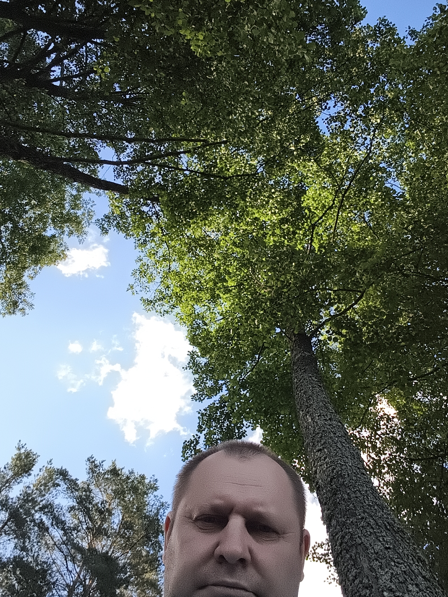 The image shows a man's face and a large tree trunk, taken from a low angle looking upwards towards the sky and canopy of trees. The man's face is partially visible on the left side of the frame, with his head tilted upwards. The tree trunk is rough and textured, with a dappled bark. The background is dominated by the green leaves of the trees and a blue sky with white clouds. The overall impression is of a sunny day outdoors, possibly in a park or a wooded area. The image does not provide enough information to determine the specific location in Daugavpils, Latvia.