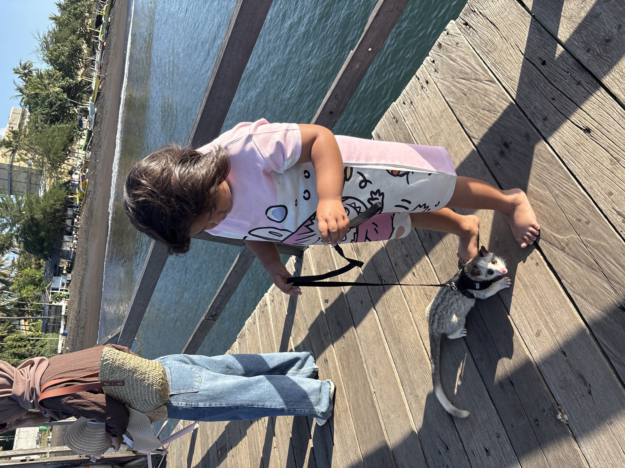 In Bulusan, Indonesia, a young child wearing a pink and white graphic t-shirt and shorts, stands on a wooden pier. The child is holding a black leash attached to a small opossum with grey and white fur, wearing a black harness. The opossum is lying on the pier. To the left, a person wearing a brown hijab, brown long-sleeved shirt, and blue jeans stands holding a straw hat and a woven bag. The pier overlooks a body of water with a sandy beach and palm trees in the background. The sun casts long shadows on the wooden planks of the pier.