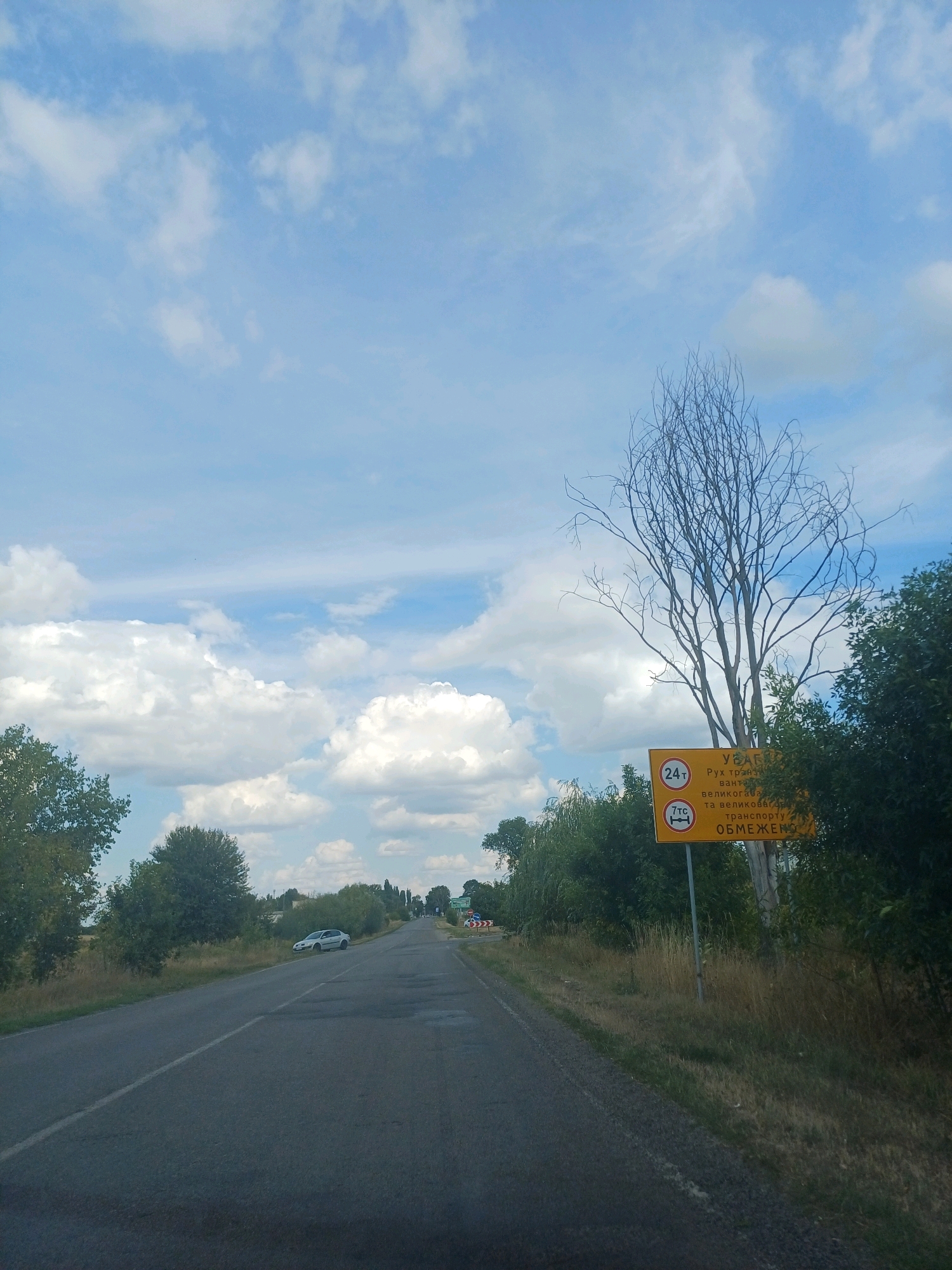 A paved road stretches into the distance under a blue sky dotted with white, fluffy clouds. On the right side of the road, a yellow signpost displays traffic regulations. The upper portion of the sign shows a circle with "24т" inside, indicating a weight limit of 24 tons. Below this, another circle contains "7тс" and an icon of a truck, signifying a limit of 7 tons for trucks. The text below the circles reads "РУХ ТРАНСПОРТУ ВАНТАЖІВ ТА ВЕЛИКОГАБАРИТНОГО ТРАНСПОРТУ ОБМЕЖЕНО," meaning "Movement of cargo and oversized transport is limited." A bare, dead tree with intricate branches stands next to the sign. Lush green trees and vegetation line both sides of the road. A silver car is parked on the left shoulder of the road. In the distance, a few more trees and structures are visible, suggesting a rural or suburban setting. The scene appears to be on the outskirts of Baryshivka, Ukraine, given the Cyrillic text on the sign.