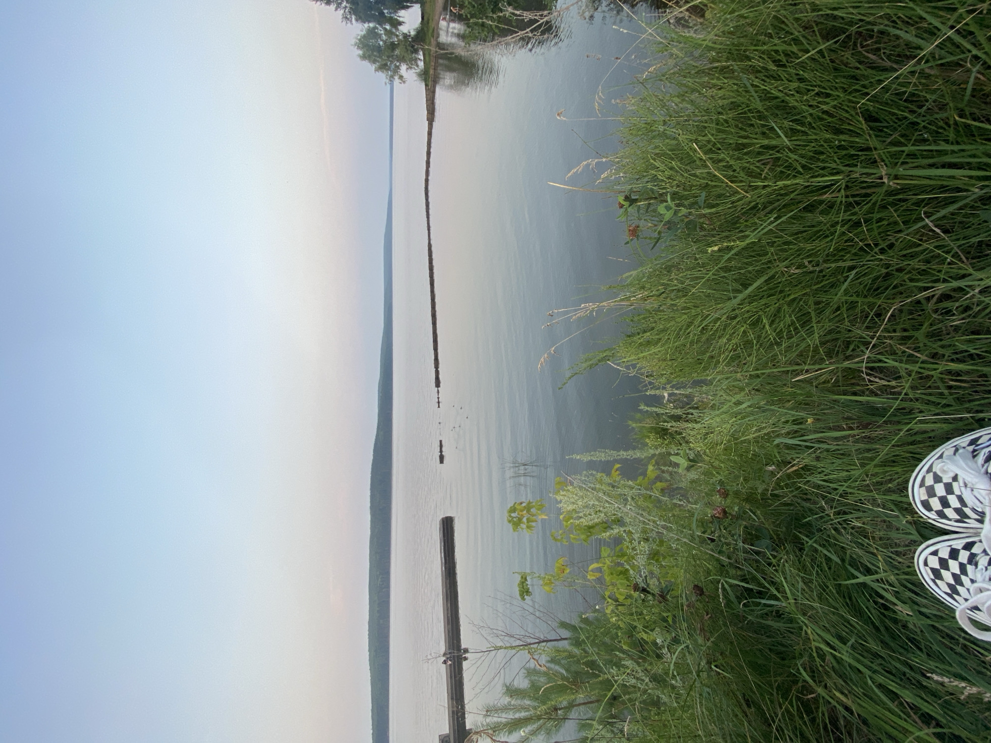 The image depicts a serene natural landscape, likely a waterfront area in Chaikovsky, Russia. In the foreground, the viewer's feet, clad in black and white checkered Vans, rest amidst tall green grass. The grass extends towards a calm body of water that dominates the midground and background. The water reflects the soft, gradient sky, which transitions from a pale blue near the horizon to a lighter hue overhead. A concrete pier juts out into the water from the left side of the frame, with a few indistinct figures visible on it. Further out in the water, several small, dark objects, possibly buoys or debris, are scattered. A line of darker, textured material, possibly a breakwater or a submerged structure, forms a semi-circular shape in the middle distance. The far bank of the body of water is lined with trees, creating a gentle, forested horizon. The overall impression is one of tranquility and natural beauty, suggesting a peaceful outdoor setting.