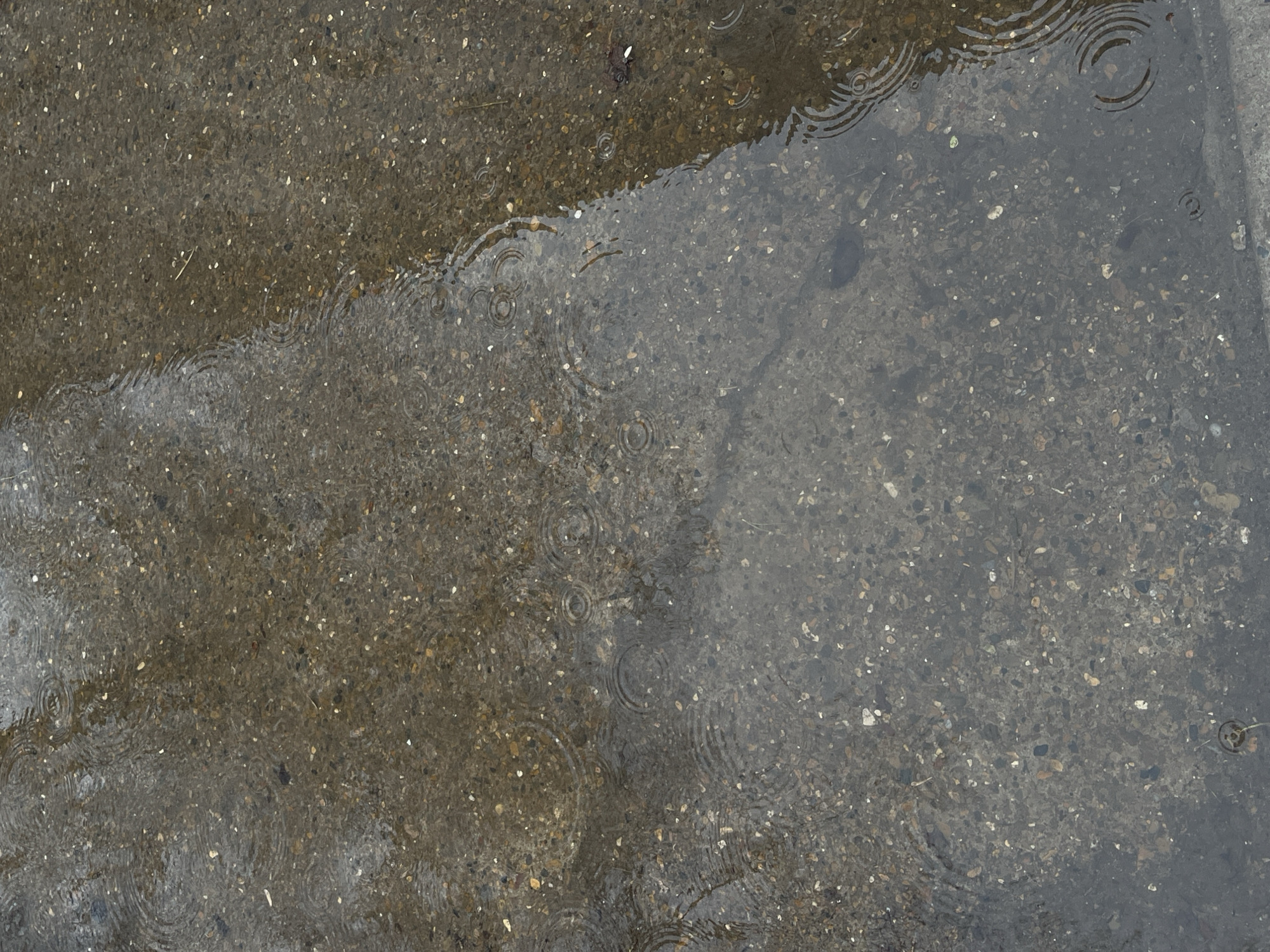 The image depicts a section of concrete pavement partially covered with rainwater. The concrete appears to be composed of small pebbles and gravel embedded in a grey matrix. Raindrops are creating concentric ripples in the water's surface. The edge of the puddle is visible, separating the wet and dry portions of the concrete. The scene is likely an urban area after a rainfall. There is no evidence to associate the image with Chaikovsky, Russia.