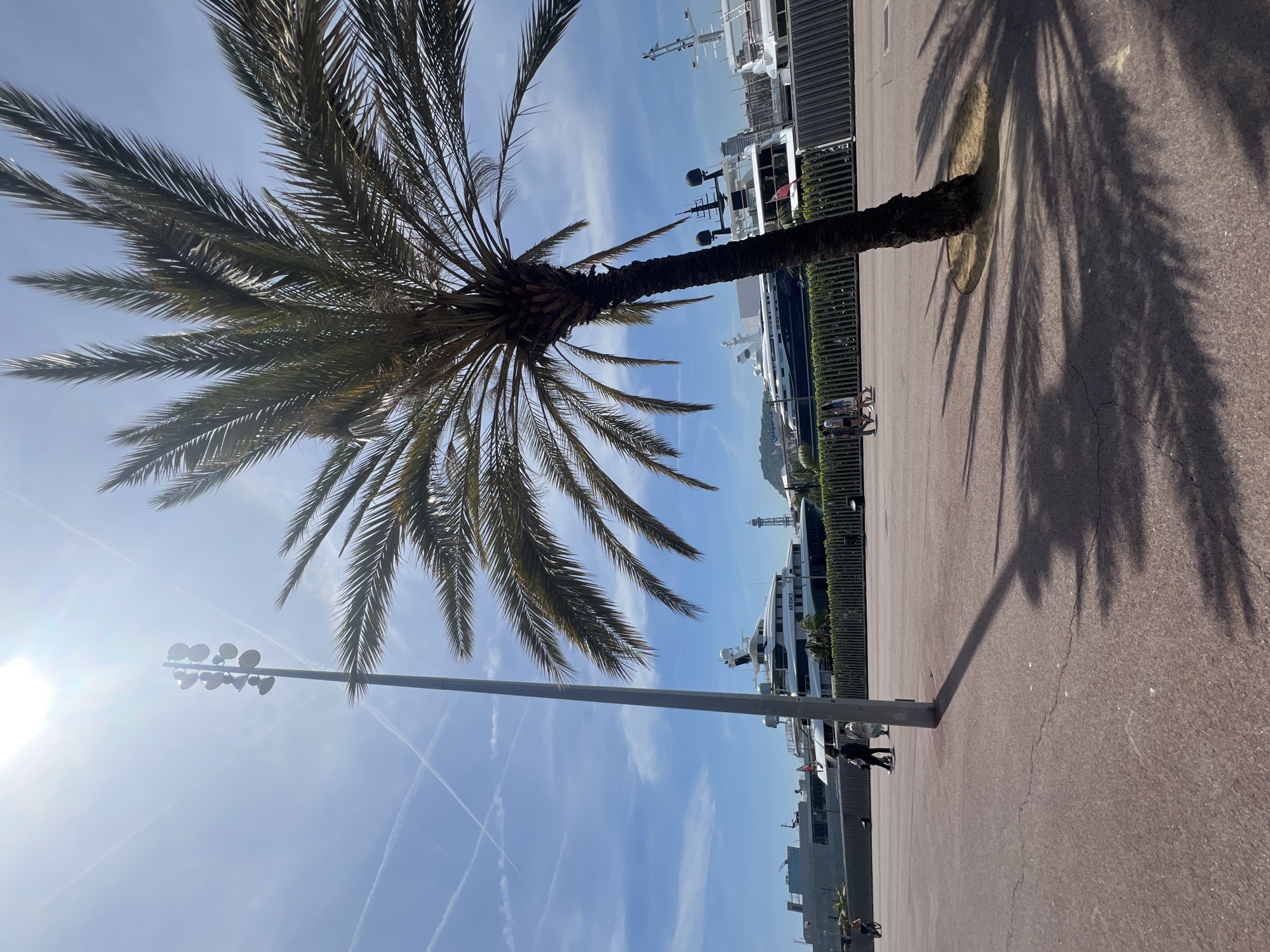 The scene is a bright, sunny day at Port Vell, Barcelona, Spain. A large palm tree is the prominent feature on the left side of the frame, casting a long shadow on the reddish-brown pavement to the right. The clear blue sky is streaked with jet contrails. A light pole with several circular lights is positioned near the palm tree. In the background, luxury yachts are docked at the port, with buildings and hills visible in the distance. Several people are walking along the pavement, seemingly enjoying the day.