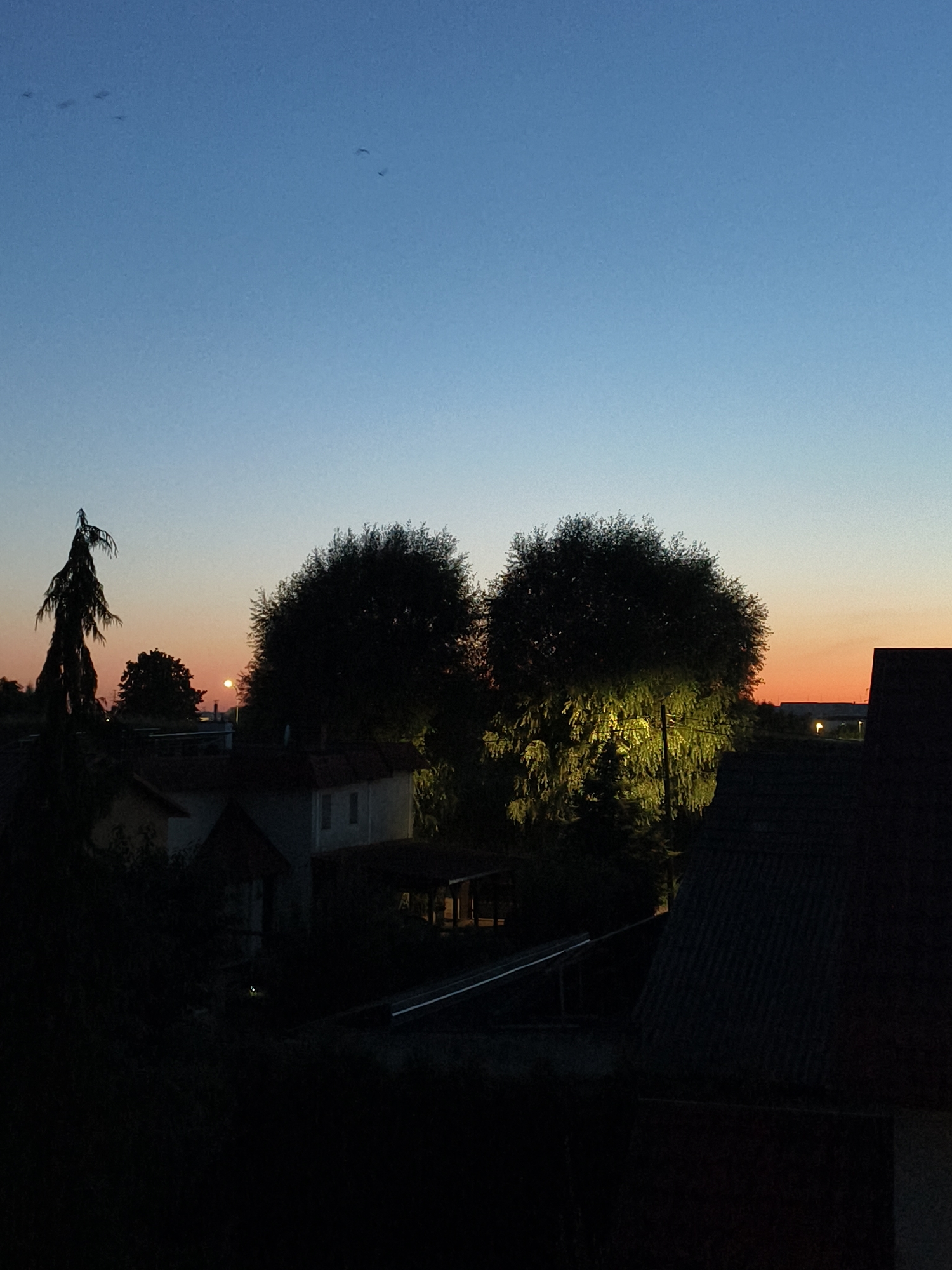 The image captures a twilight scene over a residential area. The sky transitions from a deep blue at the top to a soft orange glow near the horizon. Silhouetted against this sky are several trees, the most prominent being a tall, wispy tree on the left and two larger, fuller trees in the center. One of the central trees is illuminated by a bright light source, casting a distinct yellow glow on its foliage.
In the foreground and mid-ground, the roofs of houses are visible. A light-colored house with windows is partially obscured by trees. To the right, a darker, sloped roof of another structure dominates the lower right portion of the frame. There are also some solar panels visible on a roof in the mid-ground. In the far distance, a few faint lights suggest the presence of other buildings. A cluster of small, dark shapes, possibly birds, are visible in the upper left quadrant of the sky. The overall atmosphere is one of dusk settling over a quiet neighborhood.
