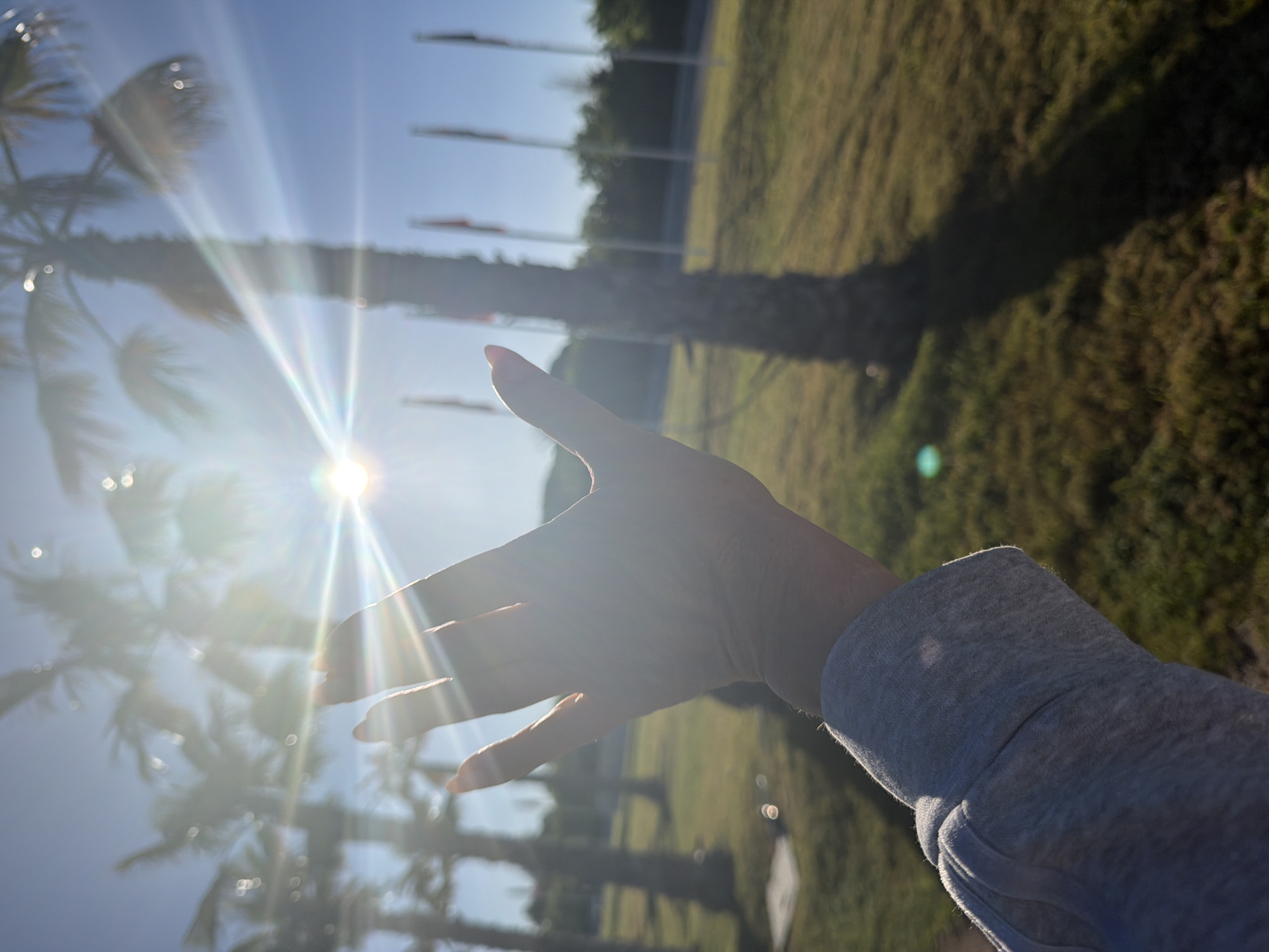 A person's hand is held up in front of the sun and a palm tree. Flags fly on poles in the background. The photo was taken in Mont-roig del Camp, Spain.