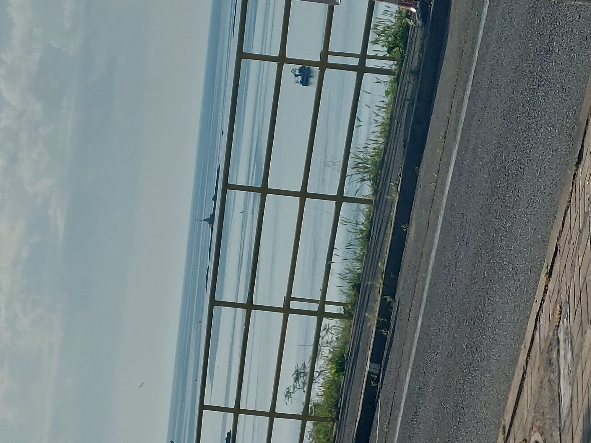 The image depicts a view of the sea from a location in the city of Tsarevo, Bulgaria. A metal railing runs along the edge of a road, with vegetation growing between the railing and the asphalt. The sea stretches out to the horizon, with several small boats visible in the distance. The sky is overcast, with a light blue hue. A paved walkway borders the right side of the road.