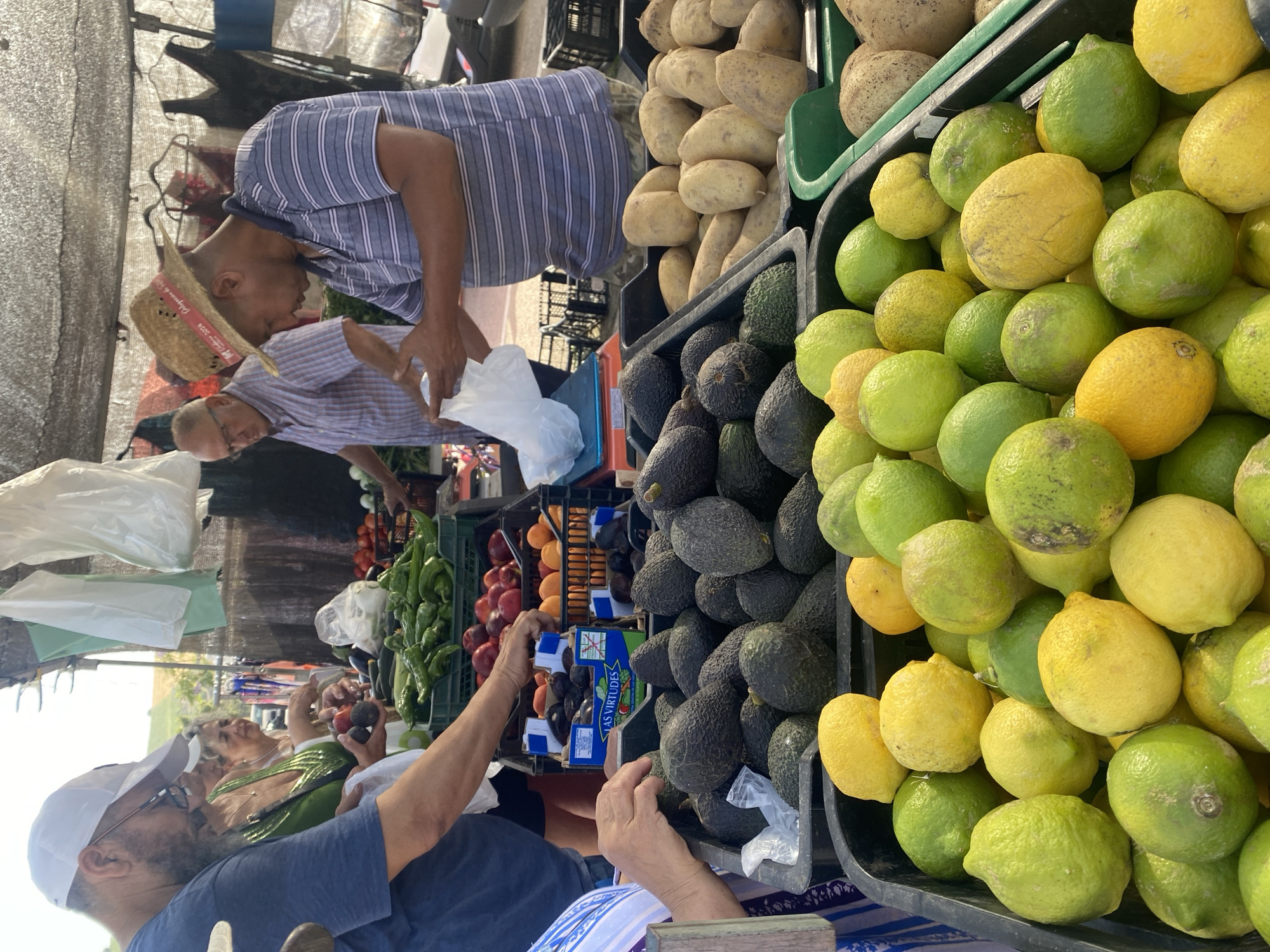 At an outdoor market stall in Manilva, Spain, a vendor wearing a straw hat is assisting a customer who is reaching into a black bin filled with avocados. The customer is wearing a blue t-shirt and a white cap, and has glasses. Behind them, another vendor in a striped shirt is weighing produce on a scale. The stall is stocked with various fruits and vegetables, including limes, lemons, peaches, plums, tomatoes, cucumbers, and potatoes. The market appears to be open-air, with a tarp overhead providing shade. The overall scene depicts a busy marketplace with people engaged in the process of buying and selling fresh produce.