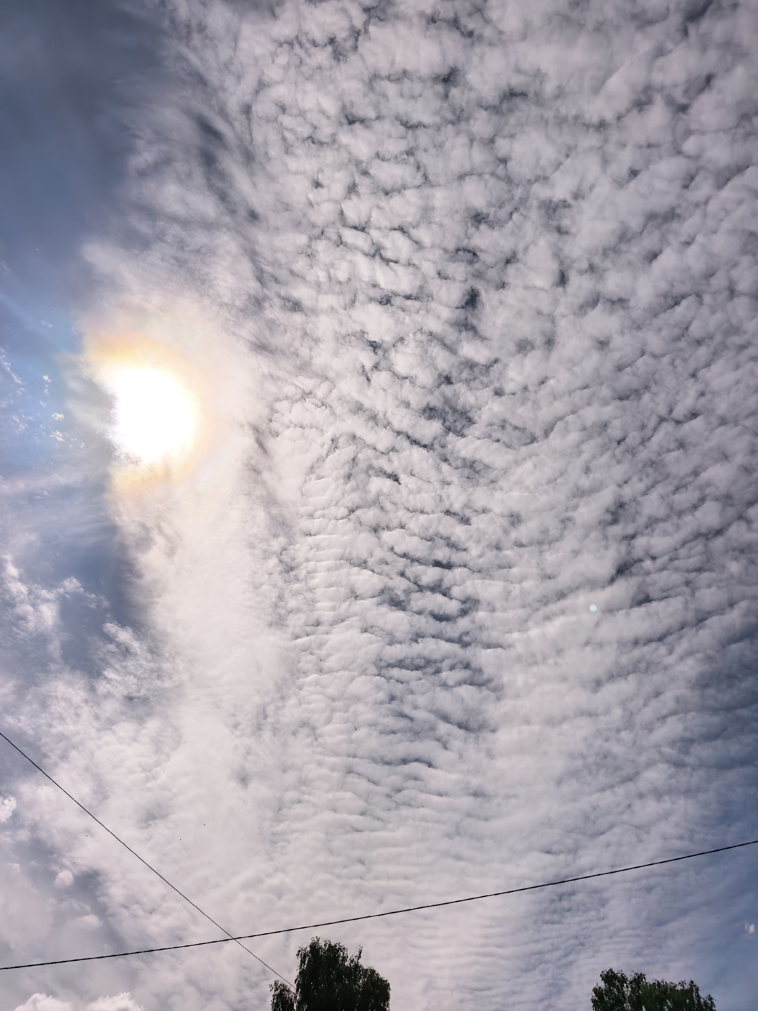 The image captures a sky filled with altocumulus clouds, creating a rippling, textured effect across the majority of the frame. In the upper left quadrant, the sun is visible, partially obscured by thinner cloud cover, exhibiting a bright halo effect. Two power lines stretch across the lower portion of the image. Two trees with dark green foliage are partially visible at the bottom center and bottom right. The location is Sterlitamak, Russia. No people are depicted in the frame.