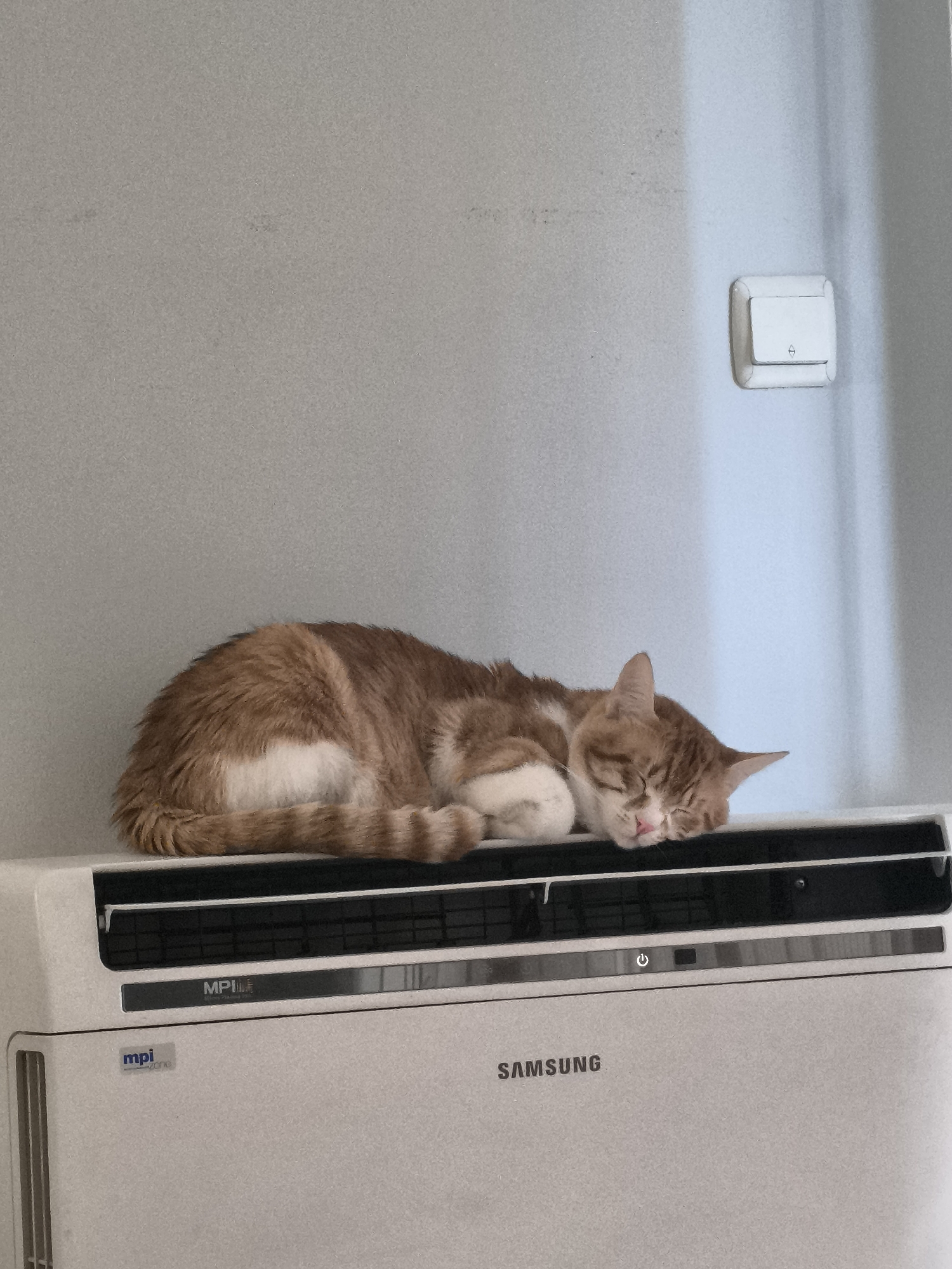 A ginger and white cat is sleeping on top of a white Samsung air conditioning unit. The unit is mounted on a light gray wall, near a white light switch. The scene appears to be indoors. It is not possible to determine the exact location within the city of Varna, Bulgaria from the provided image.