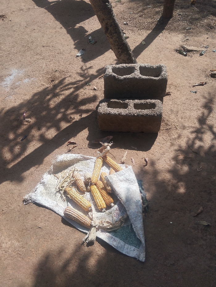 The scene depicts an outdoor ground area in Unguwan Rimi, Nigeria, under direct sunlight, evidenced by prominent shadows cast across the reddish-brown earth. The ground surface is uneven and includes scattered small organic debris. A light-colored tree trunk is visible in the upper center. Two weathered, hollow concrete blocks are stacked horizontally on the ground near the tree trunk. In the lower left and center, a light-colored woven sack is spread open, containing approximately twelve dried corn cobs, some with visible husk remnants. No individuals are present.