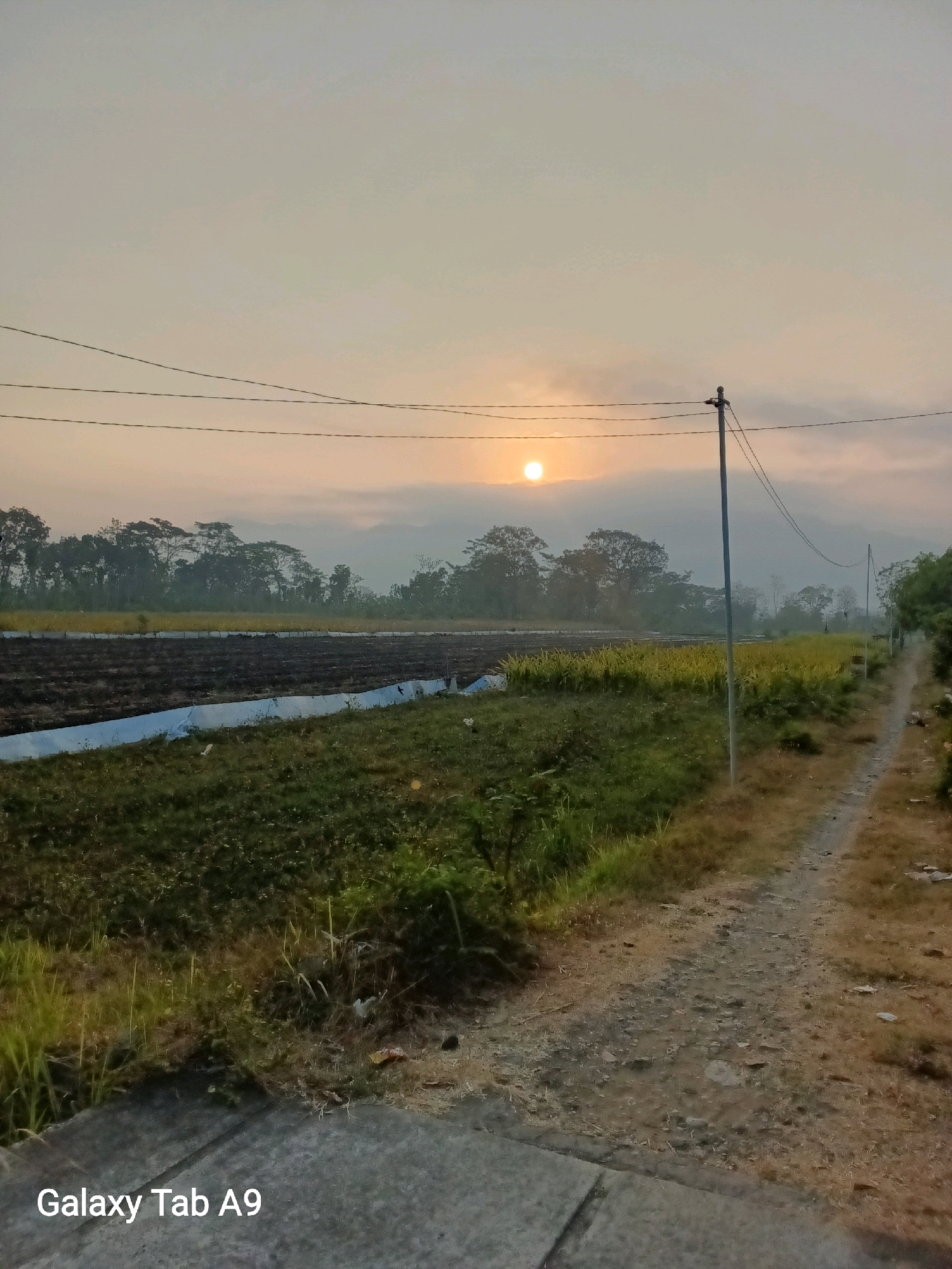The image depicts a serene rural landscape at sunrise. In the foreground, a dirt path runs along the right side of the frame, bordered by dry grass and vegetation. To the left, agricultural fields are visible. The closest field appears to be covered with dark soil, possibly recently plowed or burned, with a strip of white plastic sheeting laid out. Beyond this, a field of tall, yellowing crops, likely rice or corn, stretches into the distance. A line of trees forms the horizon, with a hazy sky above. The sun, a bright orb, is partially obscured by clouds and mist, casting a warm glow over the scene. Electrical wires stretch across the sky, supported by utility poles, one of which stands prominently on the right side of the frame. The overall impression is one of tranquility and the start of a new day in a rural setting. The watermark "Galaxy Tab A9" is visible in the bottom left corner.