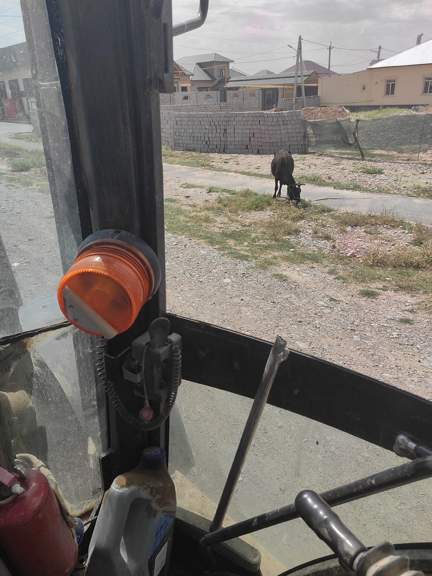 The image, taken from inside a vehicle, shows a rural scene with a dark-colored cow grazing on the side of a road. In the background, there are unfinished buildings and stacks of grey bricks, indicative of ongoing construction. The environment appears dry with scattered vegetation and gravel. The foreground features a red gas can and a blue-capped plastic container, likely liquids, inside the vehicle. An orange flashing light is also visible on the vehicle's interior. The scene is set in Shymkent, Kazakhstan.