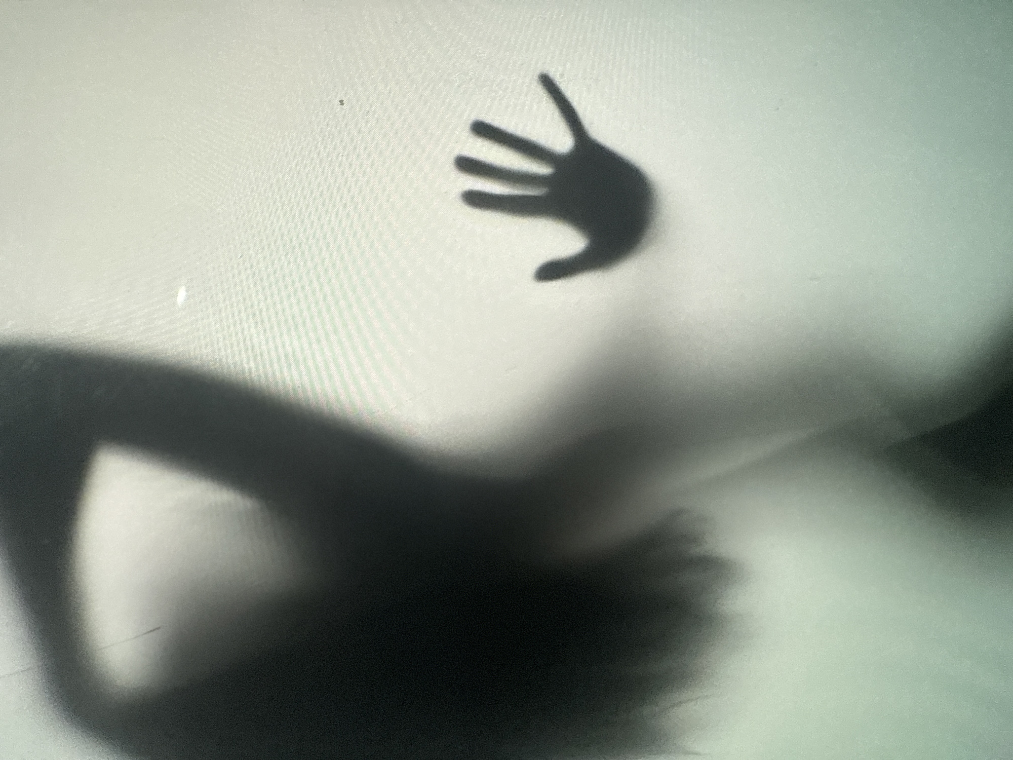 The image is a high-angle, full shot of a silhouette of a person pressing their hand against a frosted glass surface. The silhouette is dark and opaque, with no discernible features. The hand is spread open, with fingers clearly visible. The background is a pale, luminous white, suggesting a light source behind the frosted glass. The image has a grainy texture and a slightly ethereal quality due to the diffusion of light. The overall impression is one of mystery and intrigue. The image does not provide any specific details about the location within a city.