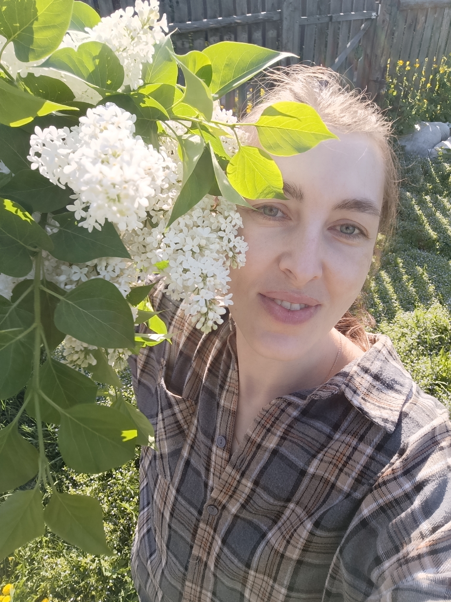 A woman is standing outdoors next to a large sprig of white lilac. She has light skin, light brown hair pulled back, and is wearing a gray and brown plaid shirt. The background includes green grass, a wooden fence, and other vegetation. The location appears to be a garden or backyard.