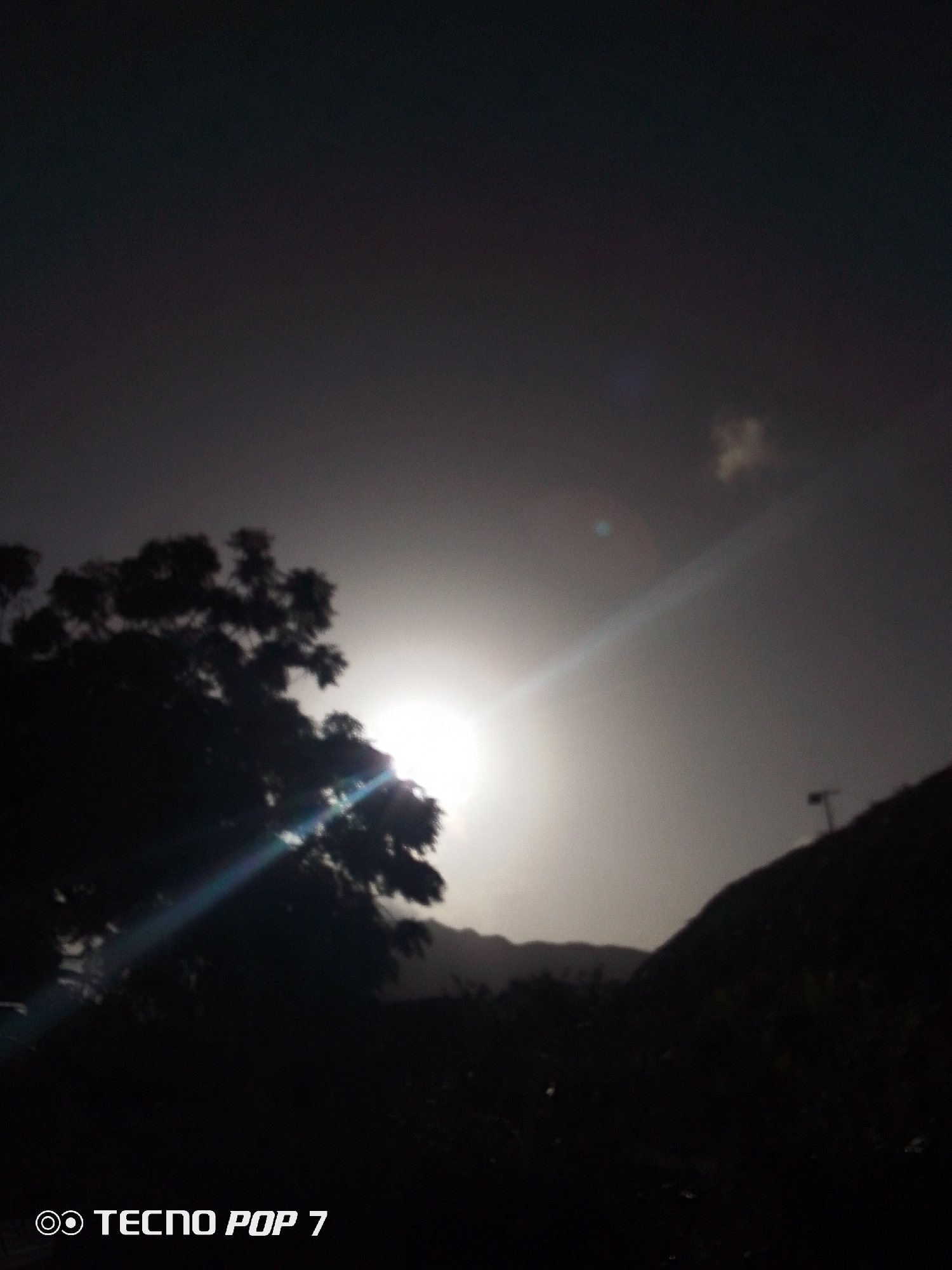 The image is a silhouette of a tree and a hill against a bright, obscured sun. A lens flare extends diagonally from the sun. The sky is overcast. The text "TECNO POP 7" is visible in the lower left corner. The location is likely Pedro González, Venezuela.
