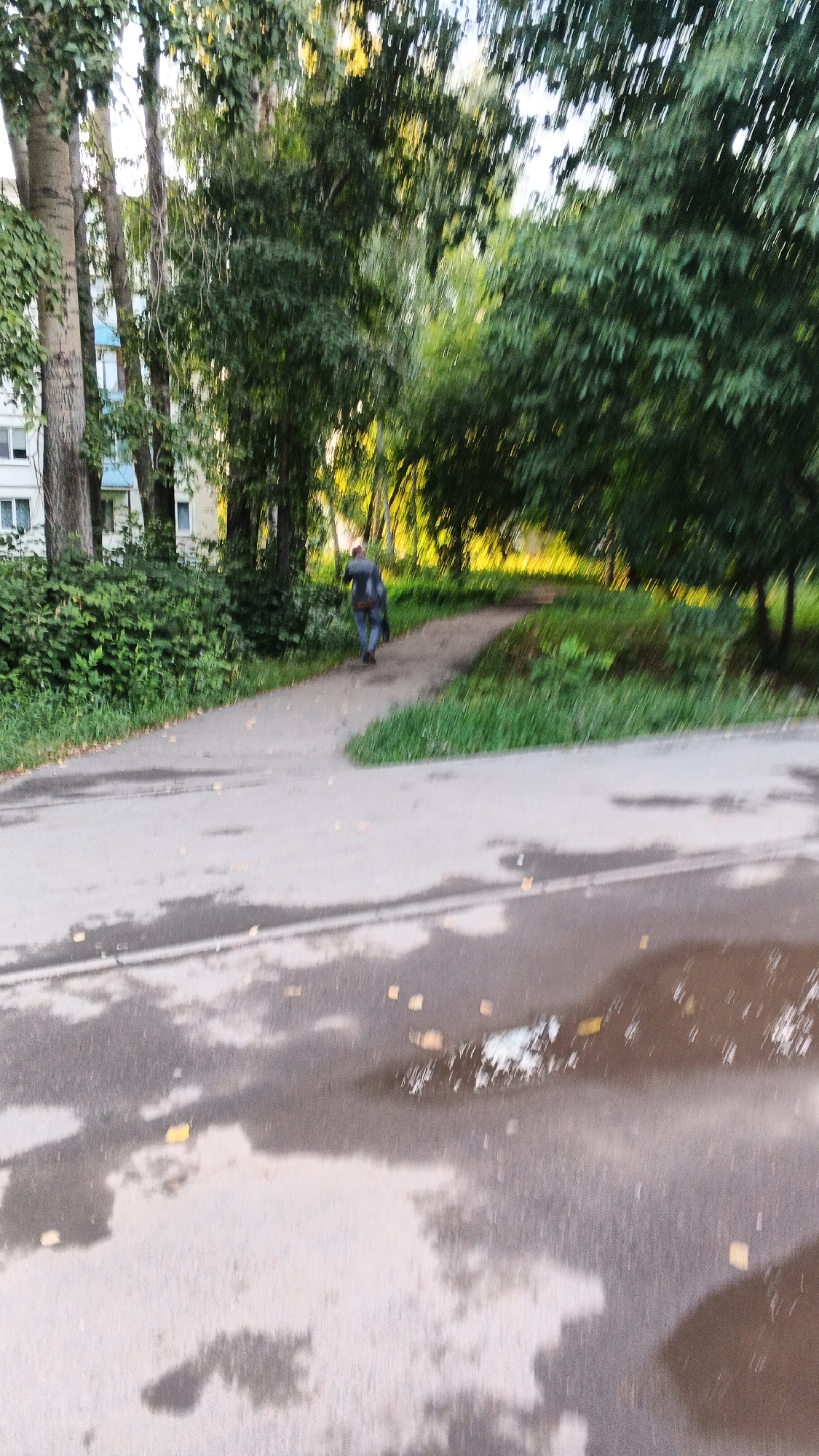 The image depicts a blurred outdoor scene in an urban environment, likely in Izhevsk, Russia, given the context. A person is walking away from the camera on a paved path that curves through a green, tree-lined area. The person is wearing dark clothing and appears to be carrying a dark bag. The path has puddles of water and scattered leaves, suggesting it might have recently rained. To the left of the path, there is dense green foliage and the side of a multi-story building with windows. The trees on the right of the path are lush and green, with sunlight filtering through their leaves, creating bright patches. The overall impression is one of a residential area with natural elements integrated into the urban landscape.