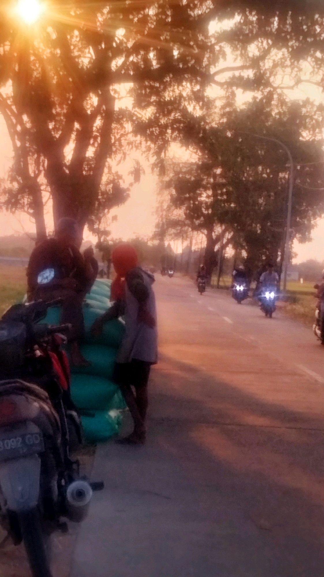 The image depicts a roadside scene in Palang, Indonesia, during what appears to be sunset or early dawn, indicated by the warm, golden light filtering through trees and casting long shadows. In the foreground, a motorcycle is parked on the left side of the frame. Behind it, a pile of large, green sacks is visible. Two individuals are interacting with the sacks. One person, wearing a dark jacket and a cap, is seated on top of the sacks. Another individual, with a red head covering and wearing a grey hooded jacket and dark shorts, is standing next to the sacks.
Further down the paved road, several motorcycles are in motion, their headlights illuminated. The road is lined with trees on both sides, and the sky is a hazy orange, characteristic of the sun being low on the horizon. The overall atmosphere is that of a rural or semi-urban setting in Indonesia, with everyday life activities taking place along a common pathway. The image is somewhat blurry, possibly due to movement or low light conditions.
