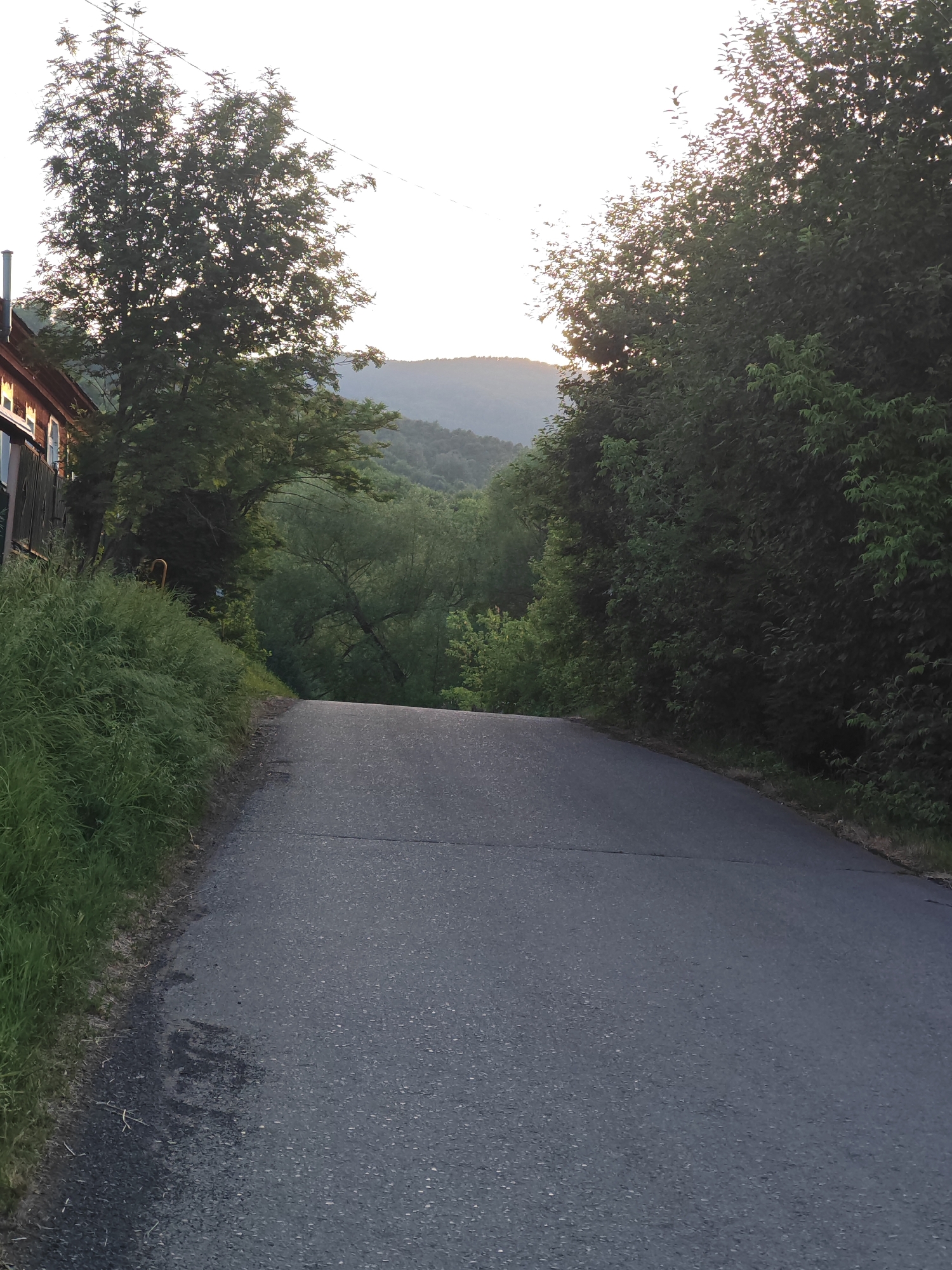 The image shows a paved road curving uphill into a landscape of rolling hills and trees. On the left side of the road, there is a wooden building with visible windows and a pipe extending upwards. Tall grass grows along the edge of the road. On either side of the road, dense green trees create a natural canopy. In the distance, the outlines of hills are visible against a bright, hazy sky, suggesting it is either early morning or late afternoon. The scene appears to be a rural or semi-rural setting, likely outside of a main urban area. The image does not depict any people or specific actions. The location in the city of Altayskoye, Russia, is not directly evident from the visual elements alone.