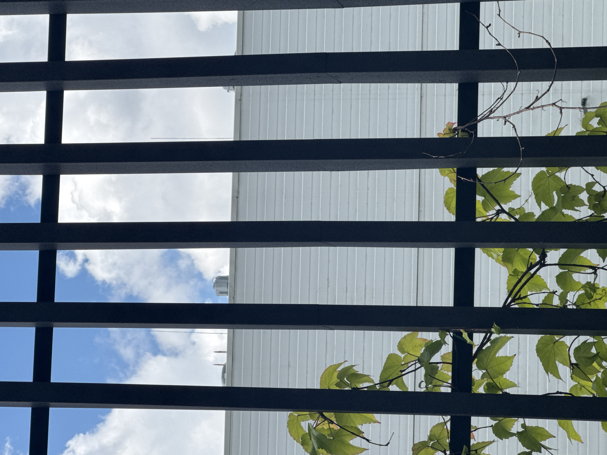 The image shows a view through a black metal fence with vertical bars and a horizontal crossbar. Beyond the fence, there is a white building with horizontal siding. Above the building, there is a blue sky with white clouds. Some green leaves and thin branches of a plant are visible on the left side of the image, growing through the fence. There are no people or animals visible. The scene appears to be outdoors, likely in a city given the building and fence. The request for the location in Kyiv, Ukraine cannot be fulfilled as there is no information within the image or its crops to support this specific geographical detail.