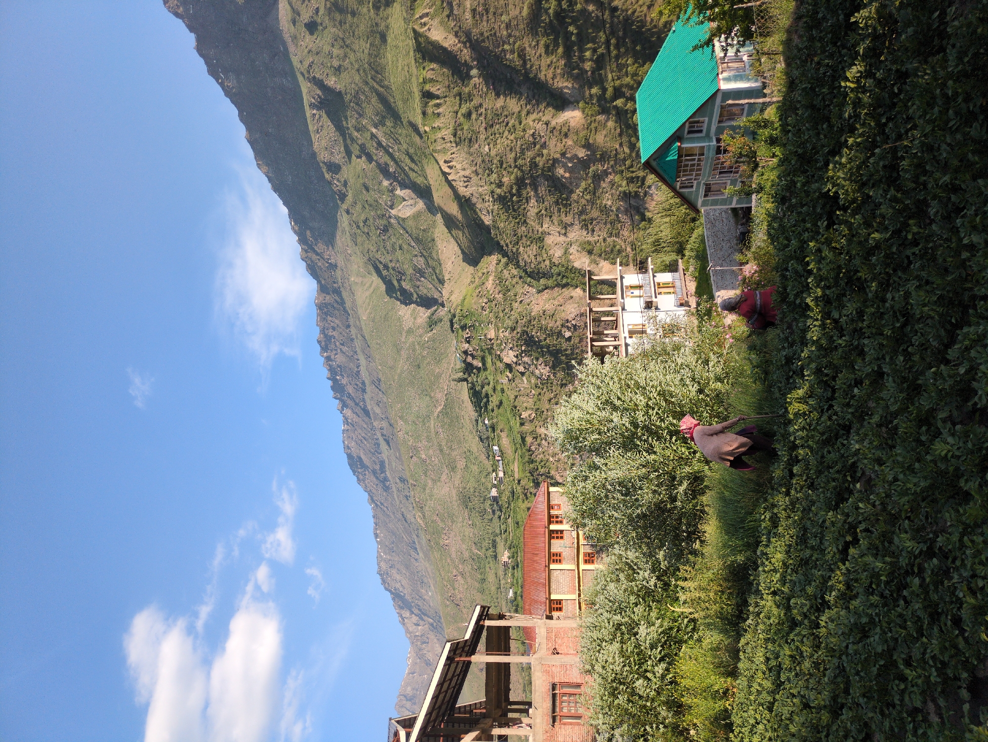 This is a vertical, medium shot of a village scene in Keylang, India, taken during daylight under a partly cloudy sky. The foreground is dominated by a lush, green field of crops, possibly potatoes. Two figures are visible in the field, engaged in agricultural work. To the left, a person wearing a light-colored shirt and dark pants is stooped over, using a tool that appears to be a hoe or spade. To the right, a second person, dressed in a red and black striped shirt, is also stooped down.
Behind the field, a dense line of green trees separates the agricultural area from a cluster of buildings. On the left, partially constructed buildings with exposed brickwork and wooden beams are visible, suggesting ongoing construction. Adjacent to these, a building with a red roof and yellow-toned walls stands complete. Further to the right, a modern, light-colored building with multiple balconies is present. Finally, a prominent green-roofed house with white-trimmed windows is situated in the mid-ground, to the right of the frame.
The backdrop of the scene is a majestic mountain range, characterized by its steep slopes covered in green vegetation and rocky outcrops. The scale of the mountains dwarfs the village structures. The overall impression is one of rural life and agrarian activity set against a dramatic natural landscape.