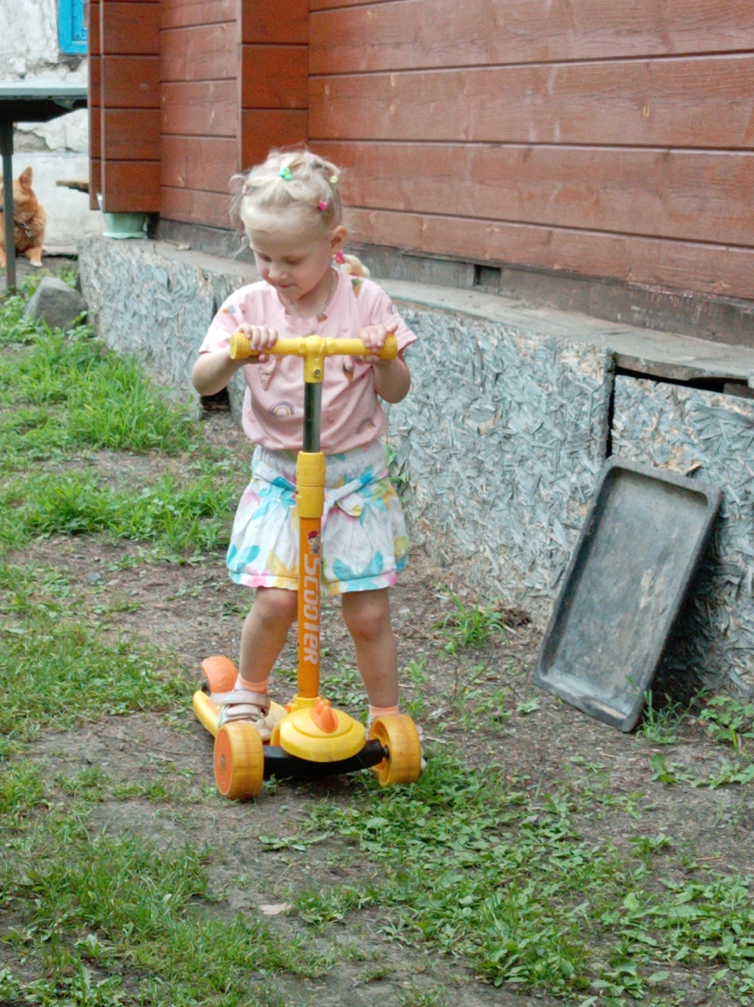 The image captures a young girl on a yellow scooter outdoors, with a wooden building in the background. The girl, wearing a pink t-shirt and a colorful skirt, is holding the scooter's handlebars. The scooter has orange wheels and a black deck. Behind her, the building has horizontal wooden siding. A rusted metal tray leans against a textured, grey base of the building. To the left, a ginger-colored cat is visible in the background. The ground is covered with grass and dirt. The scene appears to be in a residential outdoor area.