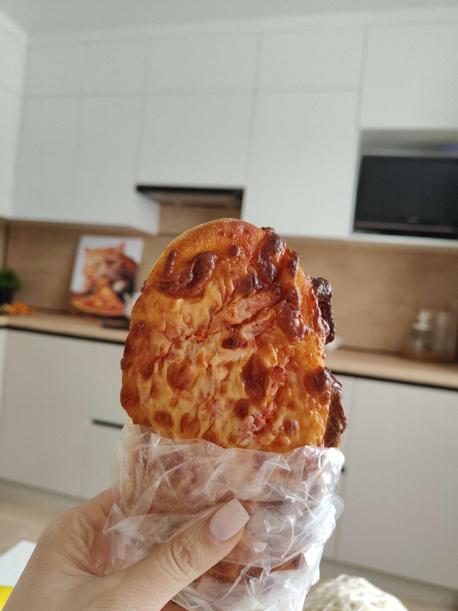 A hand holds a large slice of pizza in a clear plastic bag. The pizza has a well-cooked crust and is topped with cheese and what appears to be meat. The background shows a modern kitchen with white cabinets, a wooden countertop, and a television mounted on the wall. A book with a cat on the cover sits on the counter. The location is Unknown, Unknown.
