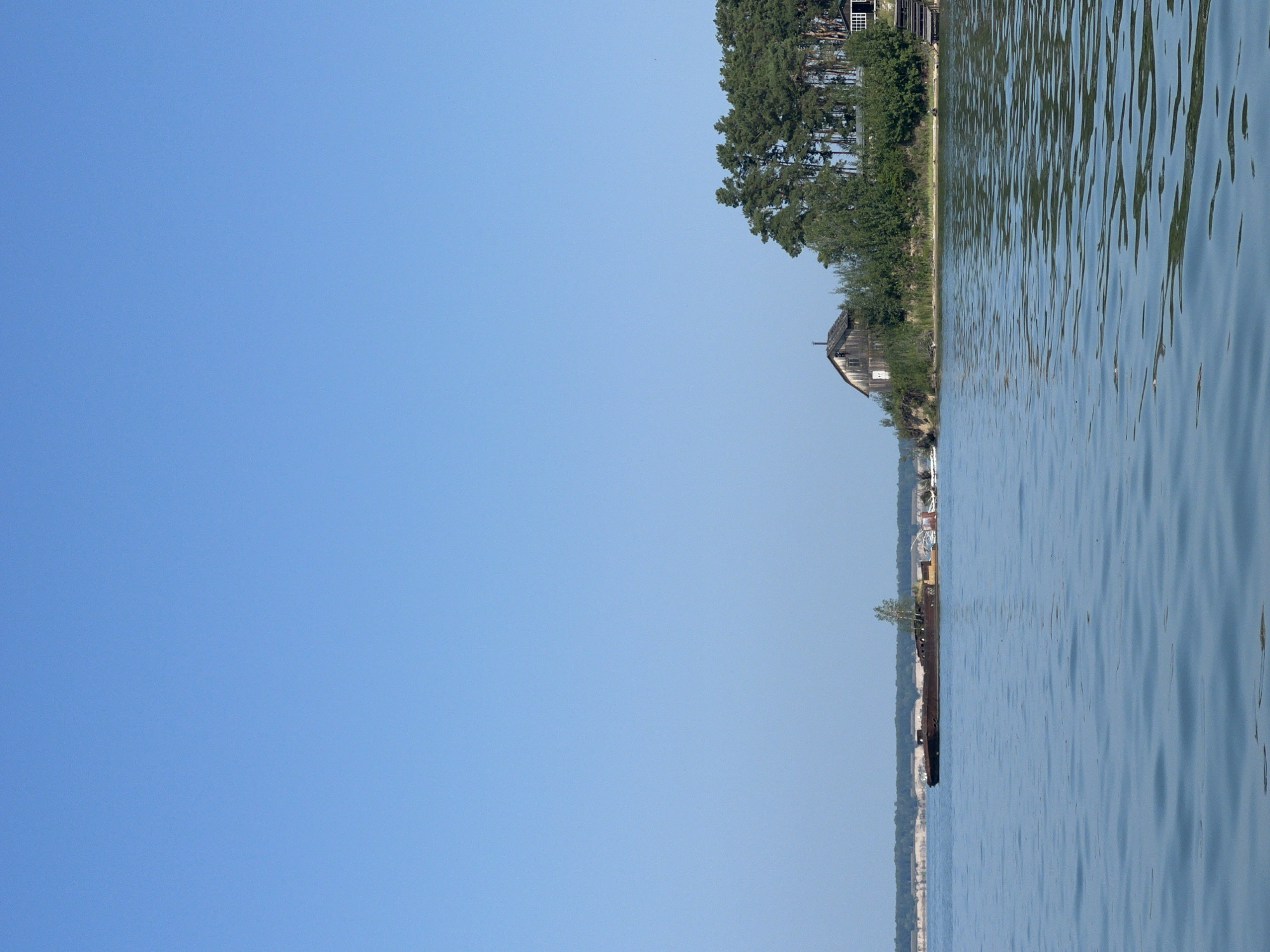 The image shows a wide, calm body of water with gentle ripples under a clear, cloudless blue sky. In the mid-ground, a large, rusted barge is partially submerged and tilted to the right. The barge appears to be derelict, with vegetation growing on its deck. The shoreline is visible on the right side of the image, characterized by a sandy embankment topped with a dense line of tall green pine trees. Nestled amongst the trees and on the embankment are several buildings. To the left of the trees, a weathered wooden building with a pitched roof and a visible chimney stands on the elevated bank. To the right of this building and slightly further back, another, smaller white building with dark-trimmed windows is visible, with a set of wooden stairs leading down to the water. The shoreline stretches into the distance on the left, appearing as a low, sandy ridge with scattered vegetation. No people are visible in the image. The overall impression is one of a quiet, somewhat abandoned waterfront area. The location is identified as Borovoe, Russia.