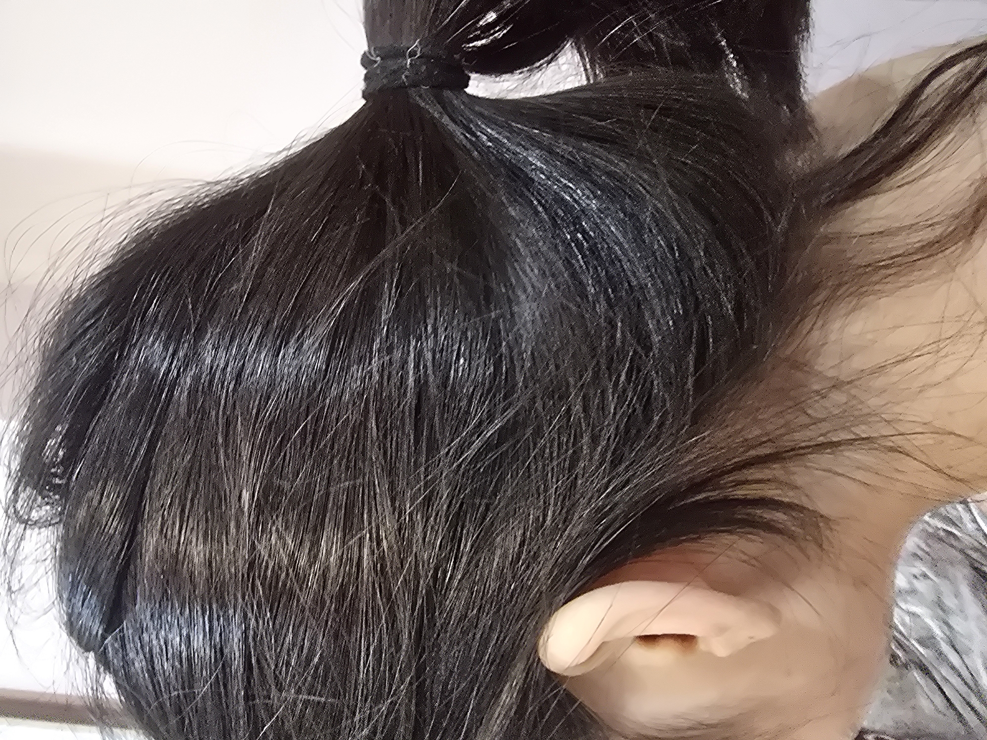 The image is a close-up shot of a person's head, focusing on their dark hair tied back in a ponytail and their ear. The hair appears dark brown or black with some lighter strands, possibly due to lighting or natural highlights. The ponytail is secured with a black hair tie. The person's ear is visible on the left side of the frame, and it appears to be light-skinned. The background is a blurred, light-colored wall. There is no visible indication of the location being Ulan-Ude, Russia. The image is static and does not depict any action or interaction.
