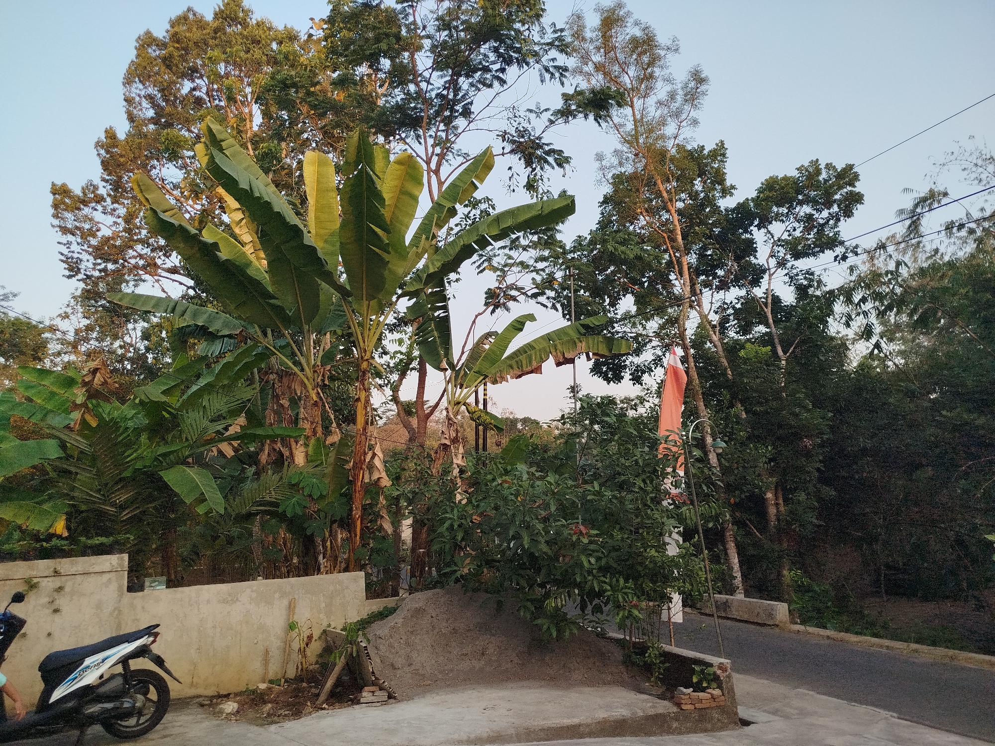 The image depicts a street scene in Mojogedang, Indonesia, under a clear sky. In the foreground, a light-colored motorcycle is parked to the left of a low concrete wall. Behind the wall, a pile of sand sits next to a small tree with green foliage. Further back, a tall flagpole with an orange and white flag is visible, partially obscured by lush green trees and banana plants. The road curves to the right, bordered by more trees and vegetation. Overhead, power lines are strung across the sky. The overall impression is of a tropical, semi-rural environment.