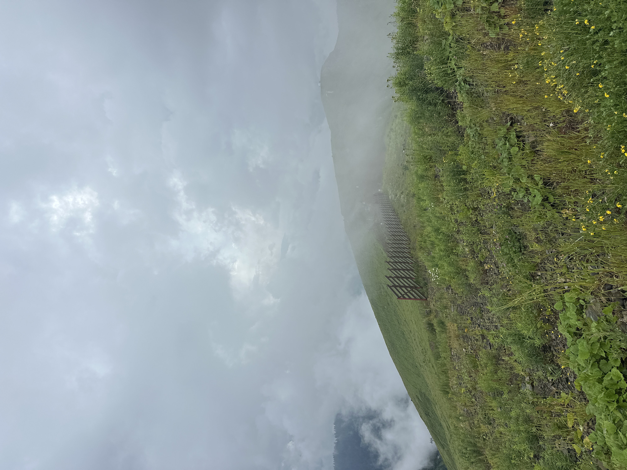 This is a landscape photograph taken in Estosadok, Russia. The image depicts a mountainous area with green, grassy slopes under a cloudy, overcast sky. A wooden fence runs along the side of a hill, following its contour. In the distance, a mountain peak is partially obscured by mist and clouds, with what appears to be a small building or structure visible on its summit. The foreground is covered in lush green grass, interspersed with patches of wildflowers, primarily yellow. The overall atmosphere is moody and serene, characteristic of a cool, damp day in a high-altitude natural environment.