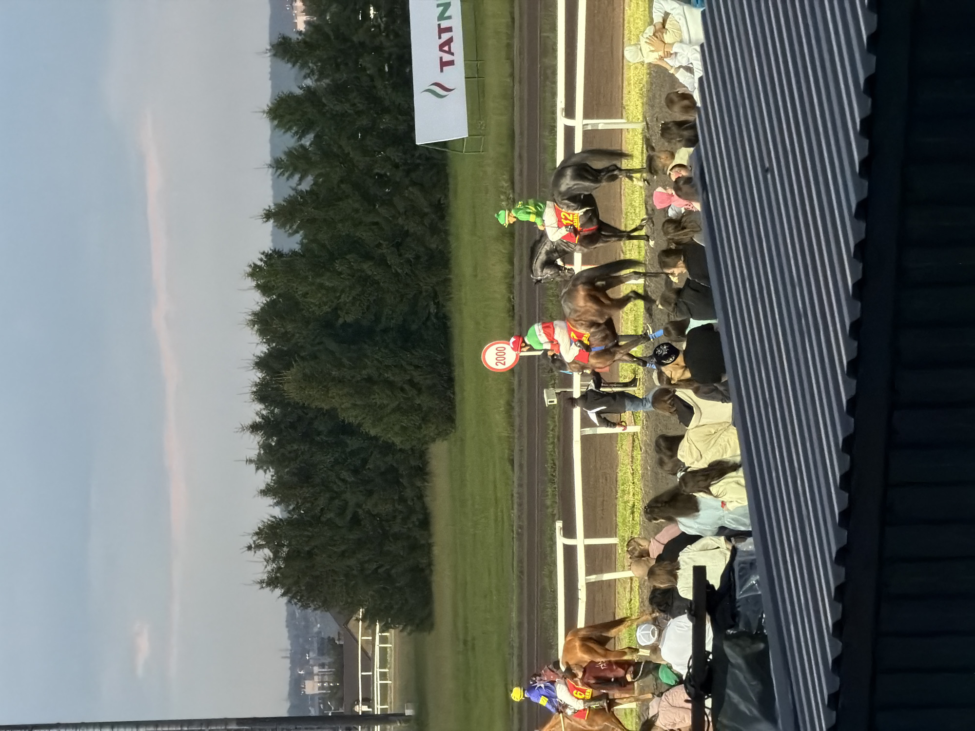 The image depicts a horse racing event at a stadium, likely in the evening given the soft lighting and diffused sky. In the foreground, a section of a dark metal roof structure is visible, with ribbed texture. Behind this, a crowd of spectators is gathered, mostly seated, with some standing. The spectators are diverse in age and attire, with a mix of casual clothing.
The main action takes place on the race track. Two horses with jockeys are prominently featured. The horse on the left is a chestnut-colored animal with a jockey in a yellow helmet and blue and yellow racing silks. The horse on the right is black, with a jockey wearing a green helmet and green and yellow racing silks. Both jockeys appear focused on the race. The horses are on a dirt track, bordered by a white fence. A circular sign with "2000" in red is visible near the track.
Beyond the track, a well-maintained green field stretches out, with a dense line of evergreen trees forming a backdrop. In the distance, beyond the trees, a cityscape is visible with buildings and infrastructure, suggesting the stadium is located within or near a populated area. A large white banner with a red and green logo and the word "TATN" is displayed on the right side of the frame, likely indicating sponsorship. The overall scene captures a moment of a horse race in progress, with the atmosphere of a sporting event.