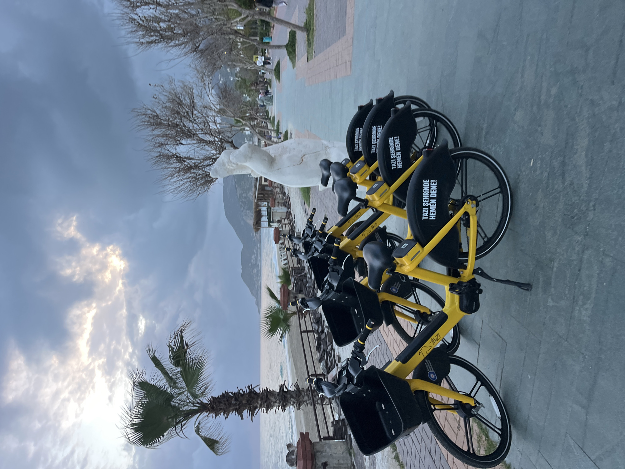 The image shows a row of bright yellow "Tazi" rental bicycles parked on a paved sidewalk in the city of Alanya, Turkey. The bikes have black baskets and seat backs with white text that reads "TAZI SEHRİNDE HEMEN DENE!" (Try Tazi in the city now!). A white statue stands nearby, along with palm trees, the sea, and a mountain in the background. The sky is overcast with dark clouds. Pedestrians can be seen in the background further down the sidewalk.