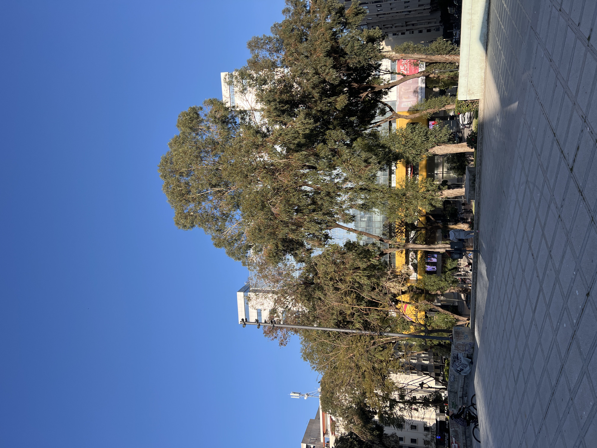 The image shows a street scene in Tanger (Tangier), Morocco, on a sunny day. The scene is dominated by tall trees lining the street, with buildings visible in the background. The sky is clear and blue. The foreground consists of a tiled pavement. People are present on the street, though their actions and interactions are unclear. A bicycle is visible near the curb. A lamppost can be seen amidst the trees. The buildings in the background are a mix of residential and commercial structures.