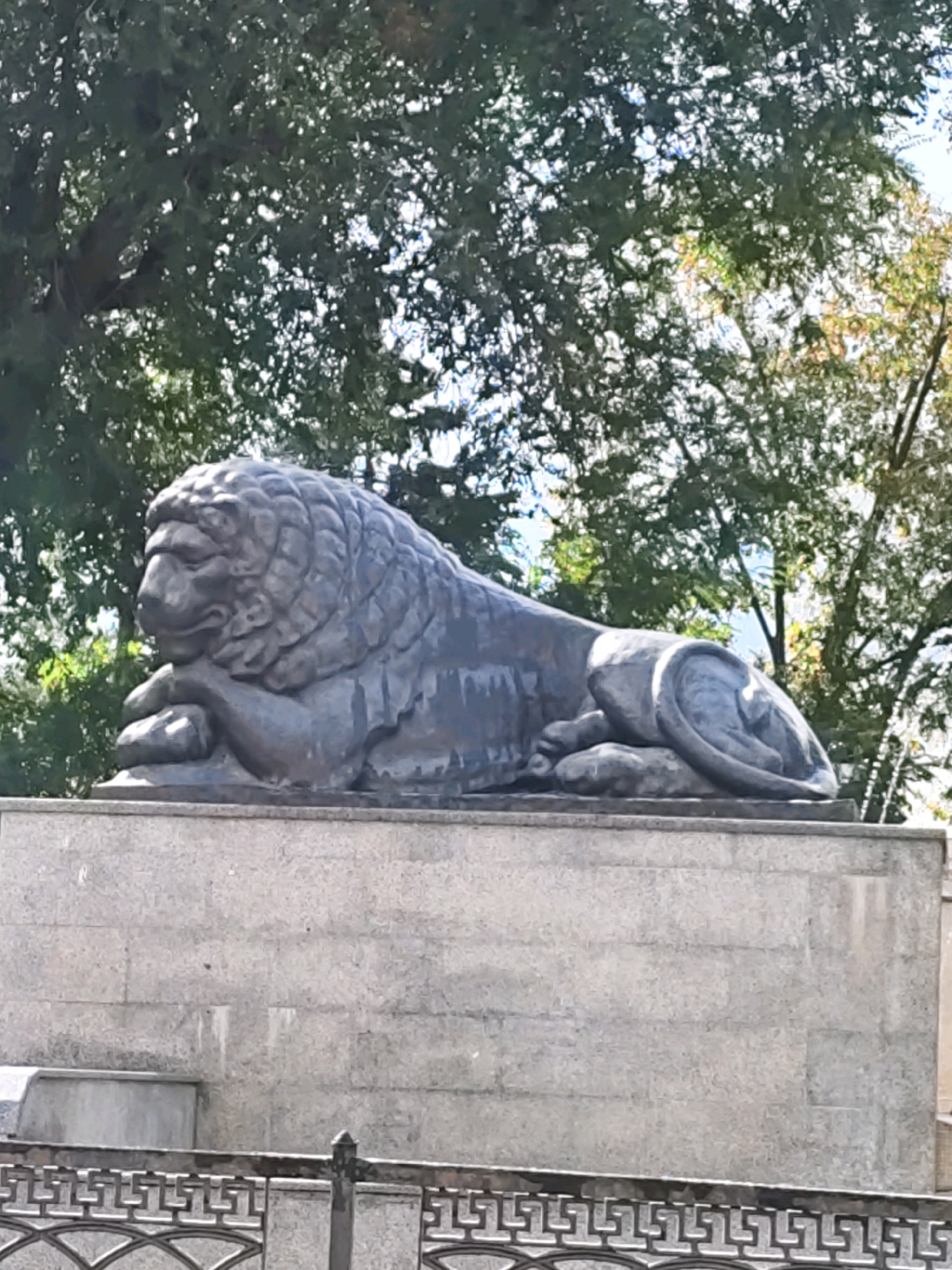 The image shows a sculpture of a lion resting on a stone pedestal. The lion is dark gray, with a detailed mane and facial features. It is positioned with its head resting on its front paws, and its body curled to one side, with its tail wrapped around its hindquarters. The pedestal is made of light gray stone blocks. Behind the sculpture, lush green trees are visible, with some branches and leaves obscuring parts of the sky, which appears to be bright and partly cloudy. In the foreground, a decorative metal fence with an intricate pattern can be seen. The overall impression is of an outdoor monument or landmark, possibly in a park or public square. This particular sculpture is known to be located in Rostov-on-Don, Russia, specifically on the embankment of the Don River, serving as a prominent landmark.